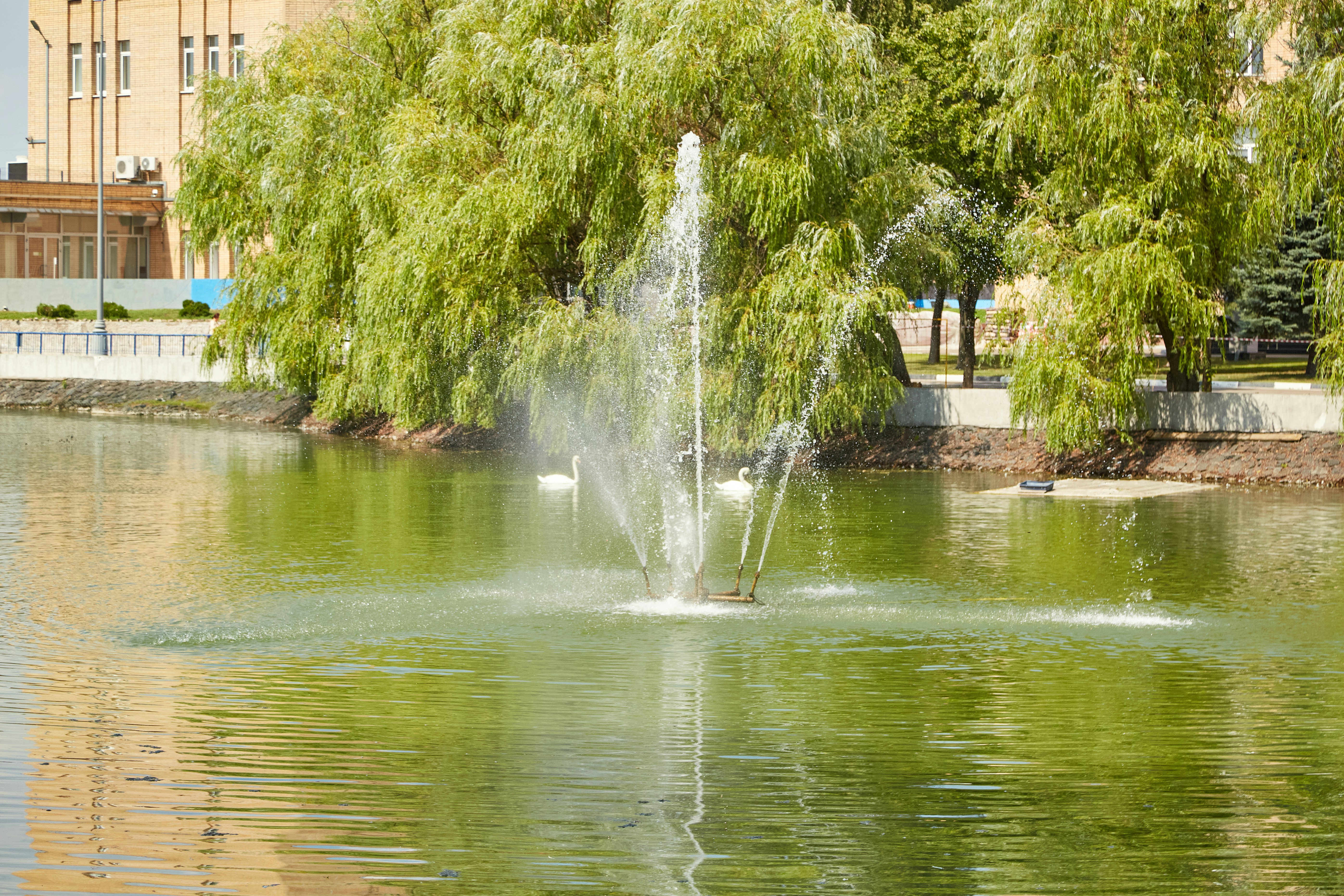 Photo by workman1993