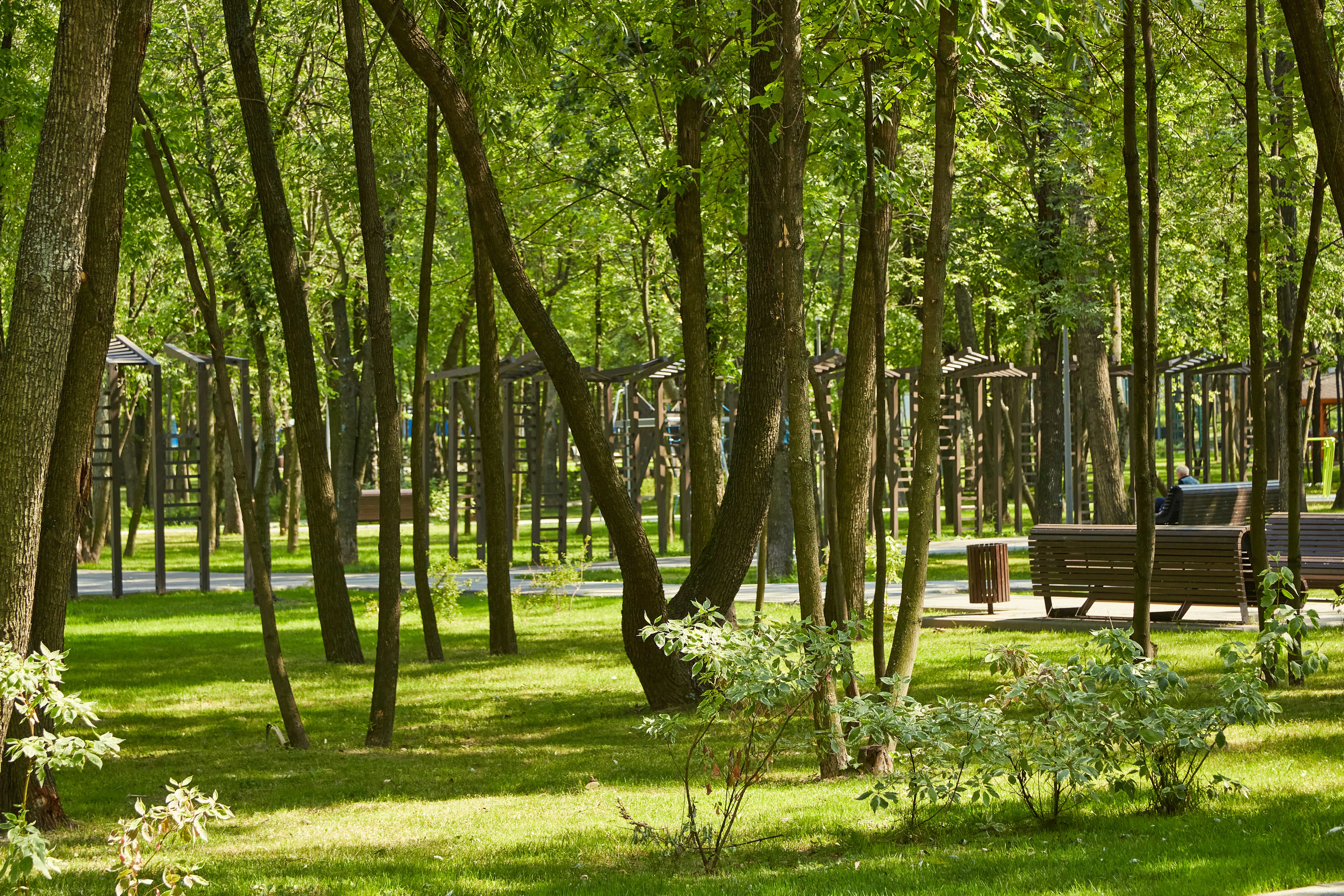 Photo by workman1993