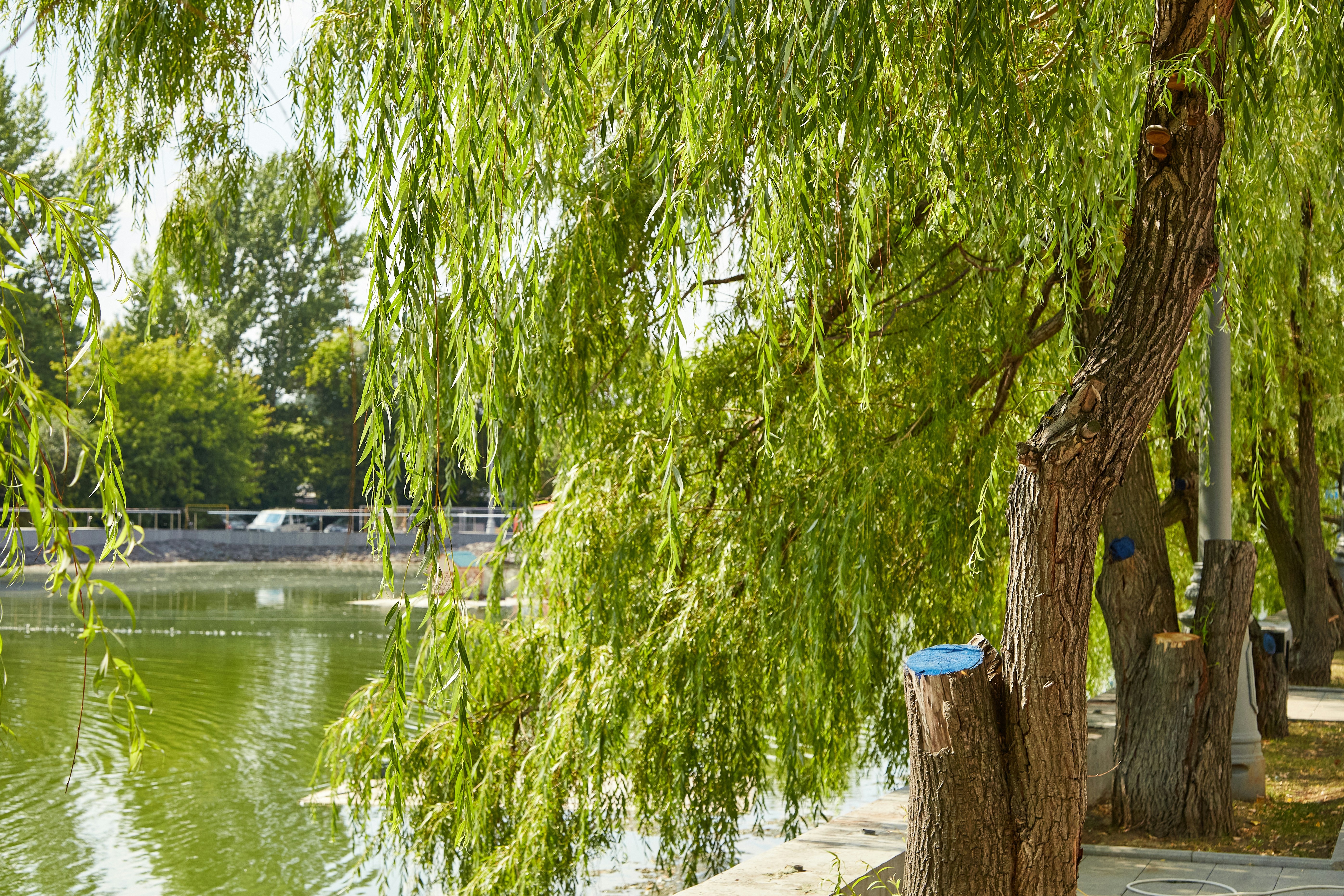 Photo by workman1993