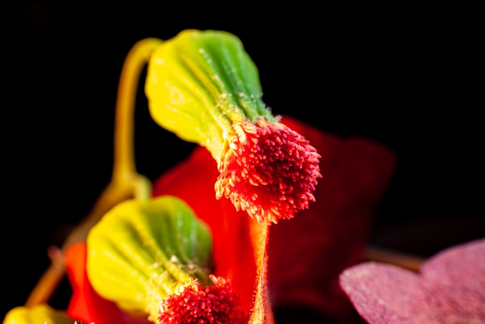 a close-up of some fruit