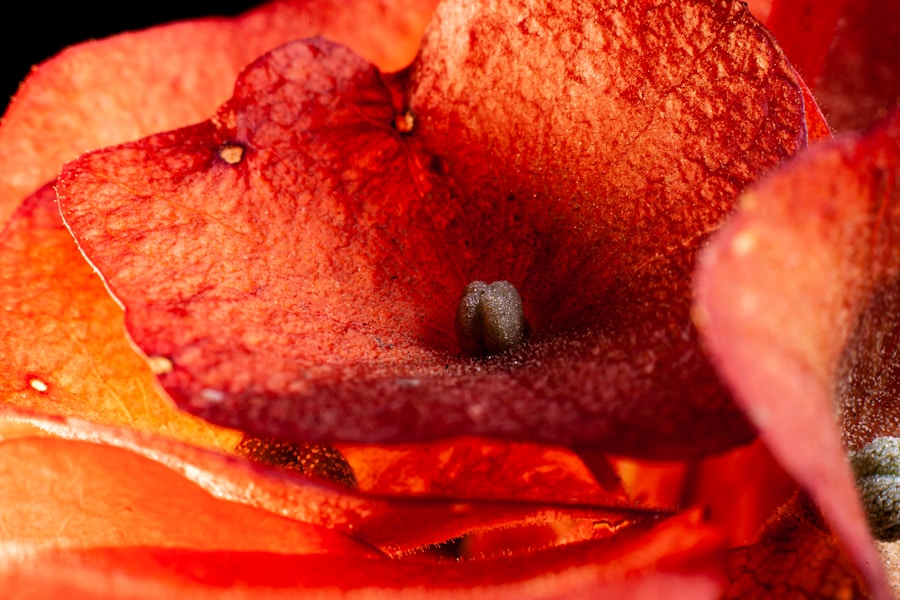 Benigni tumori vagine: Simptomi, dijagnoza i najefikasnije metode liječenja cista i leomija