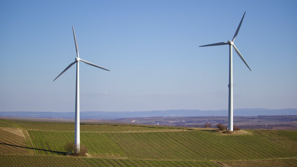 a group of wind turbines in a field