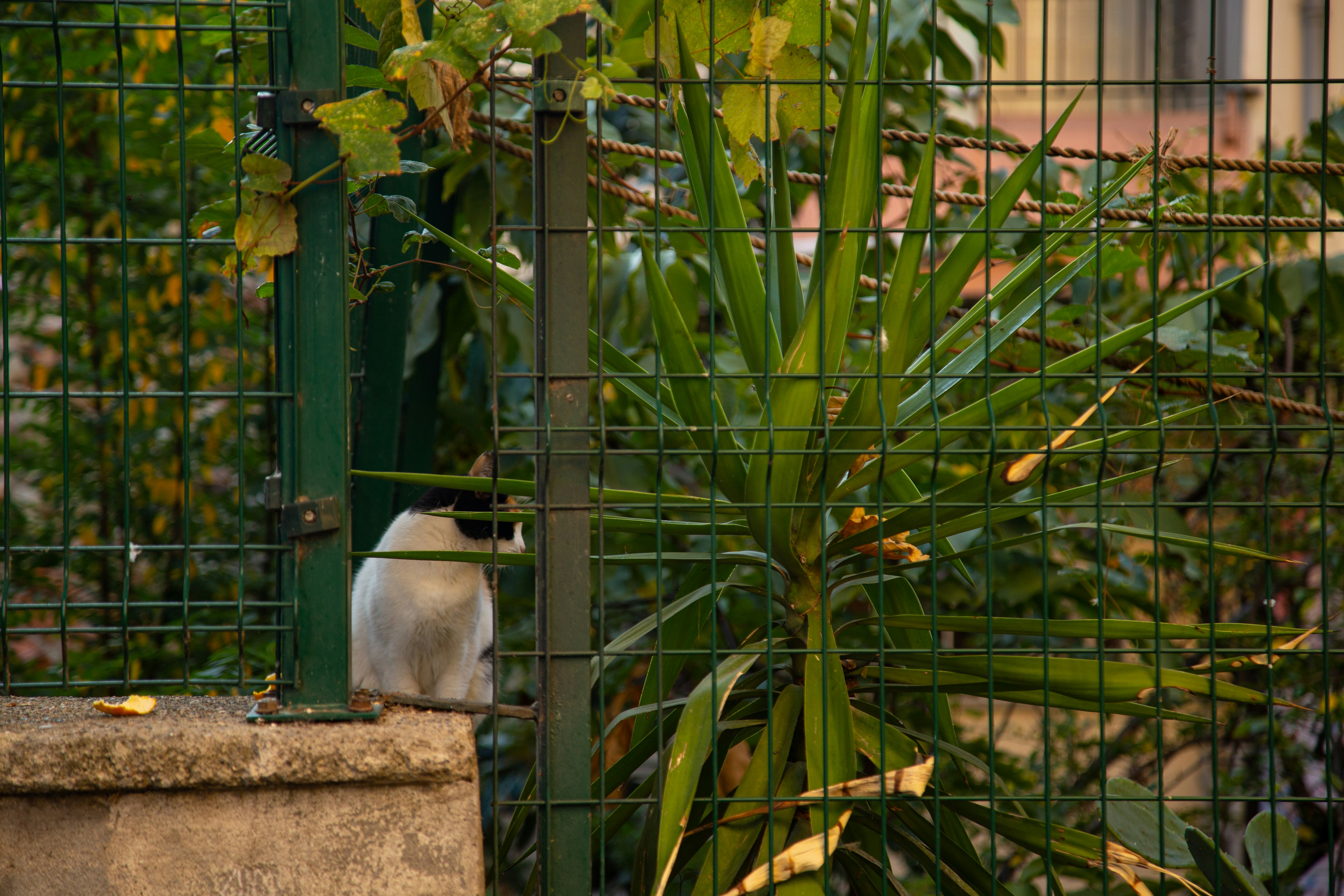 Hidden Insects and Tiny Creatures (image credits: unsplash)