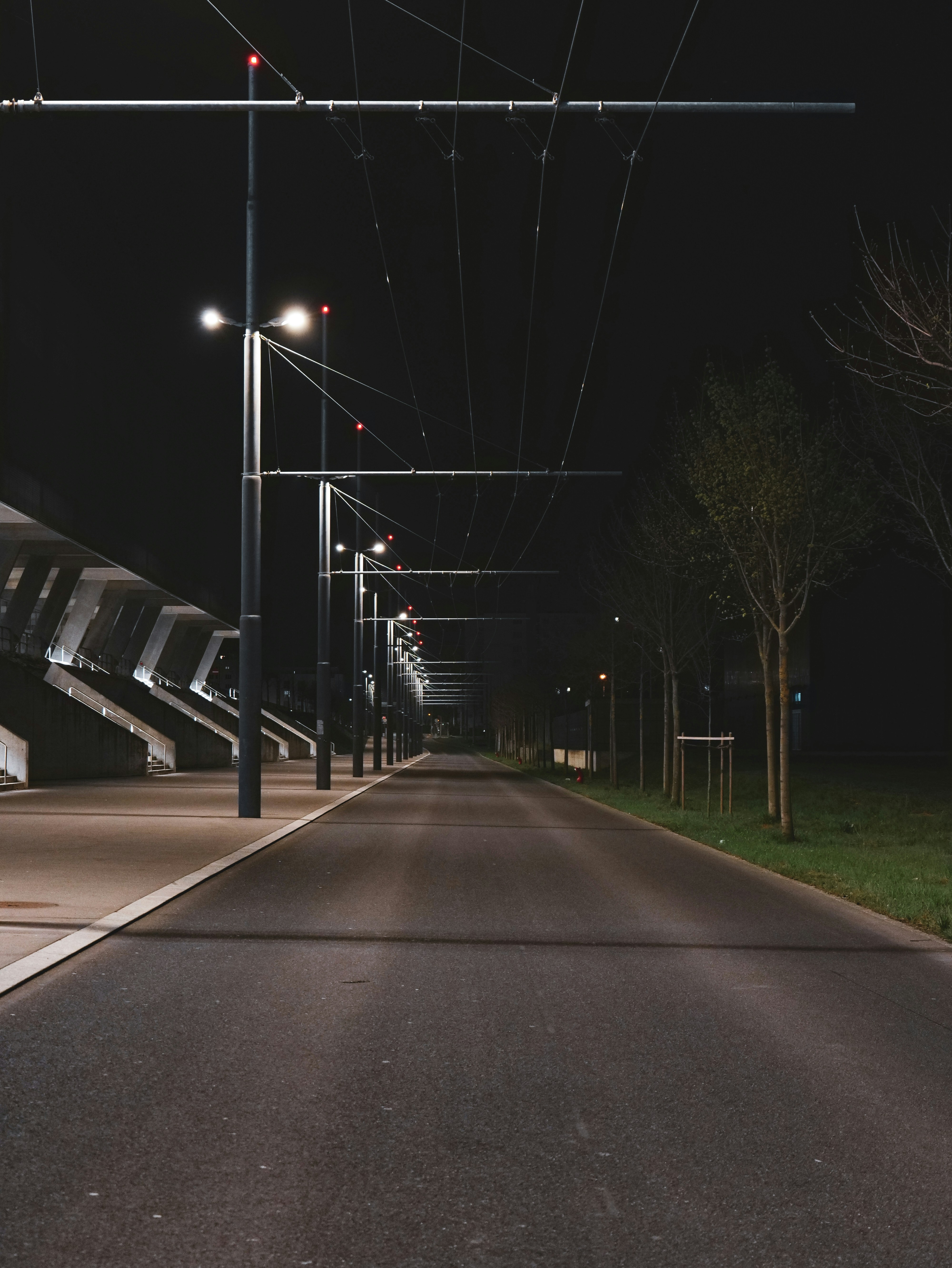 a street with street lights and trees at night