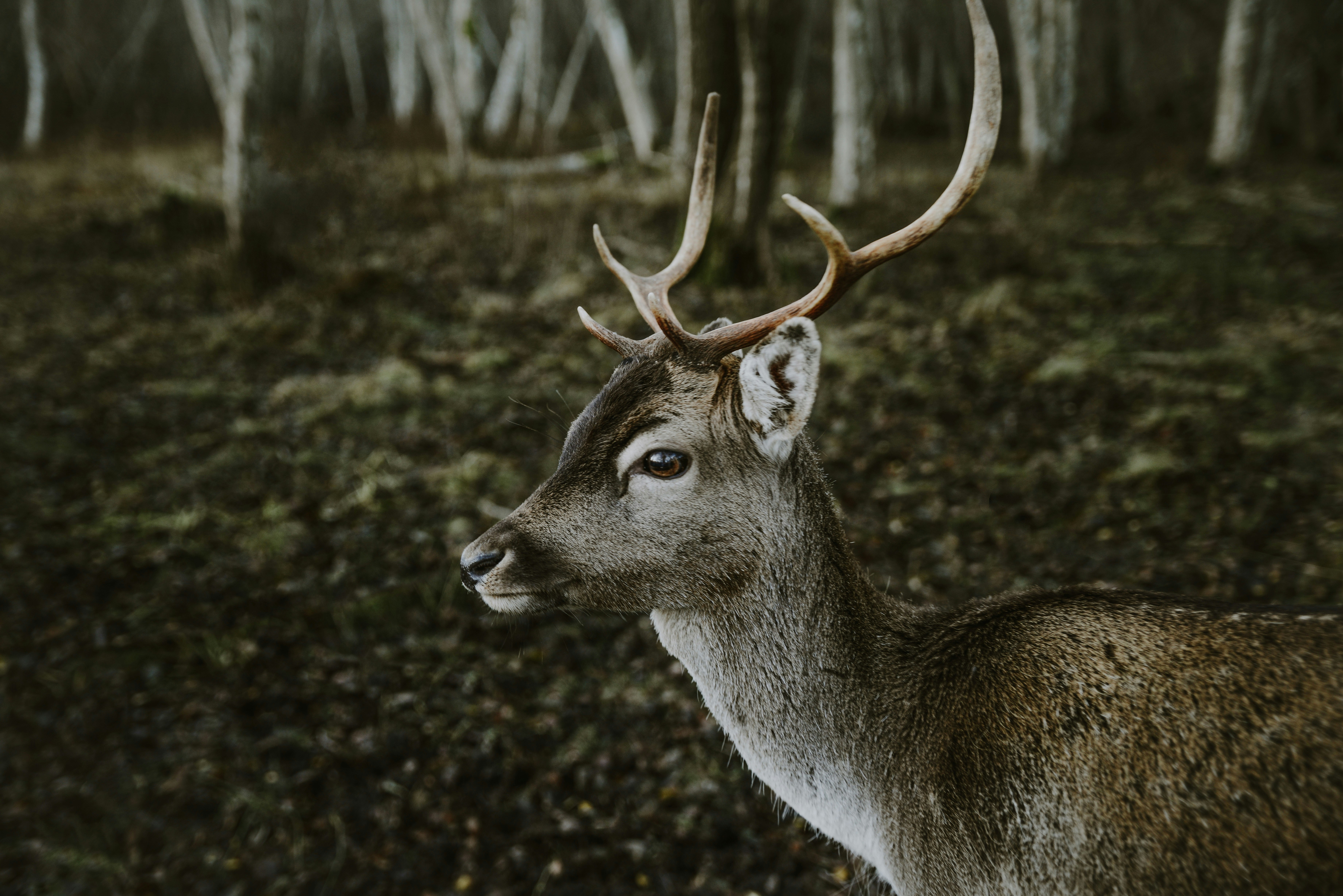 Photo by anitaaustvika