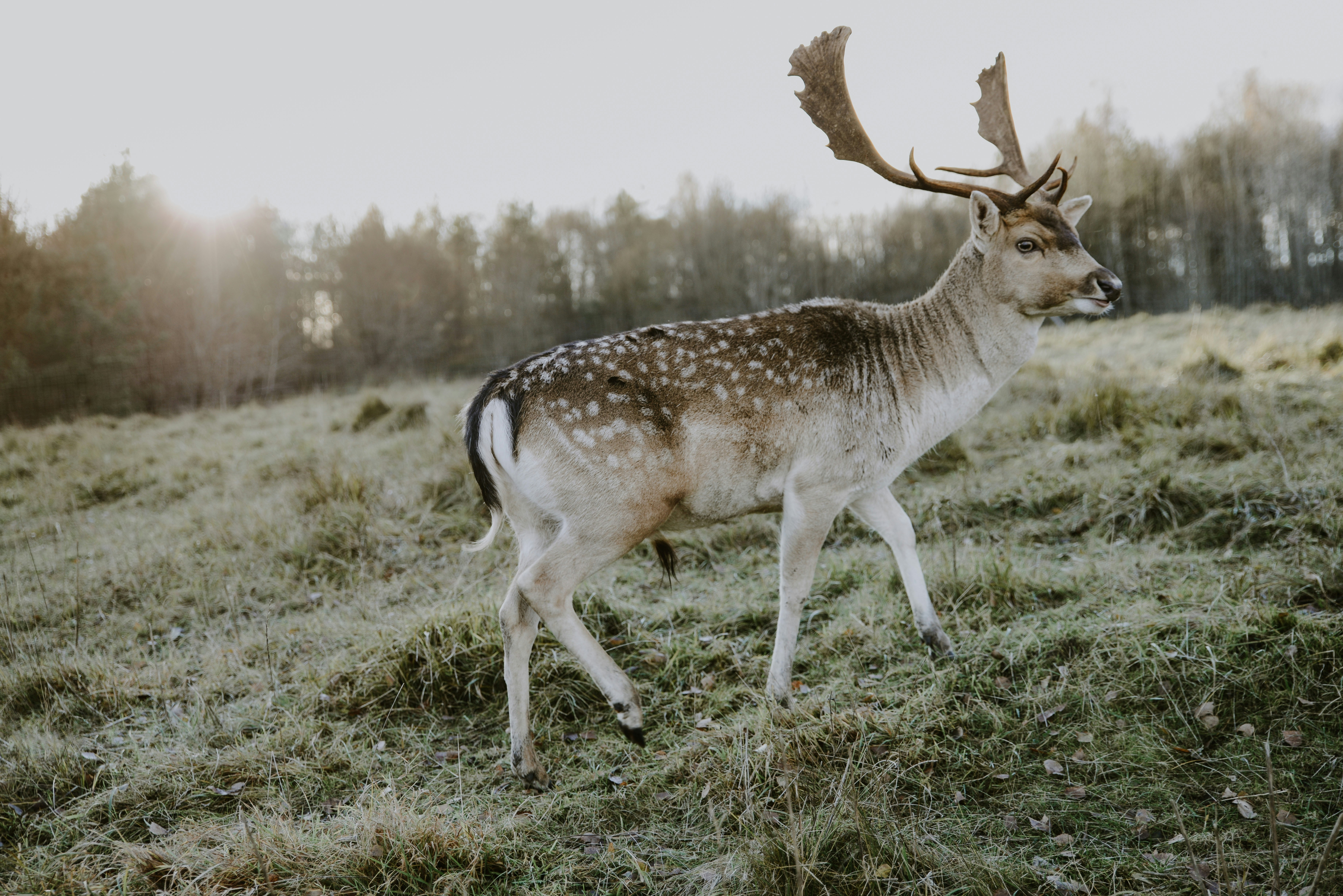 Photo by anitaaustvika