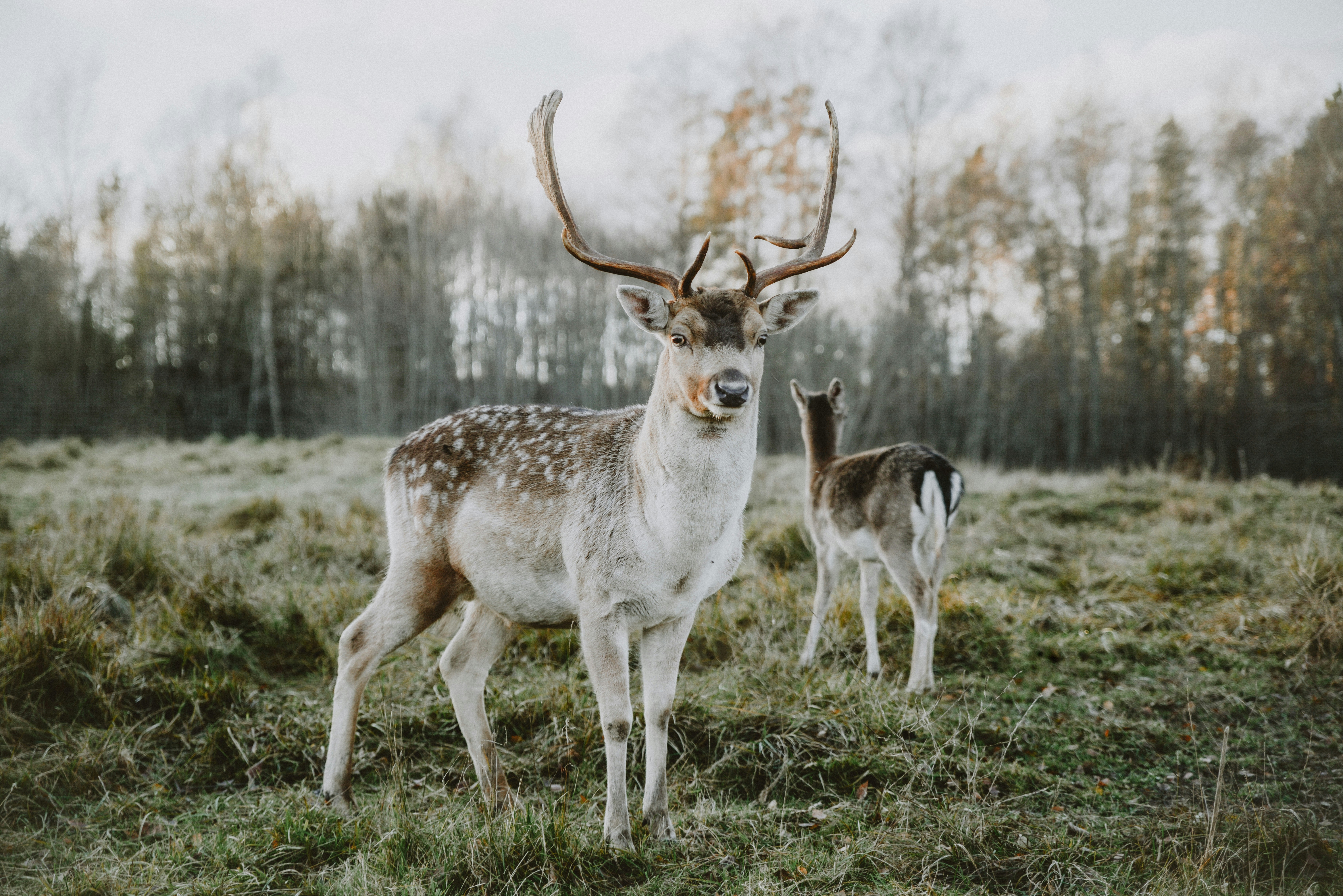 Photo by anitaaustvika