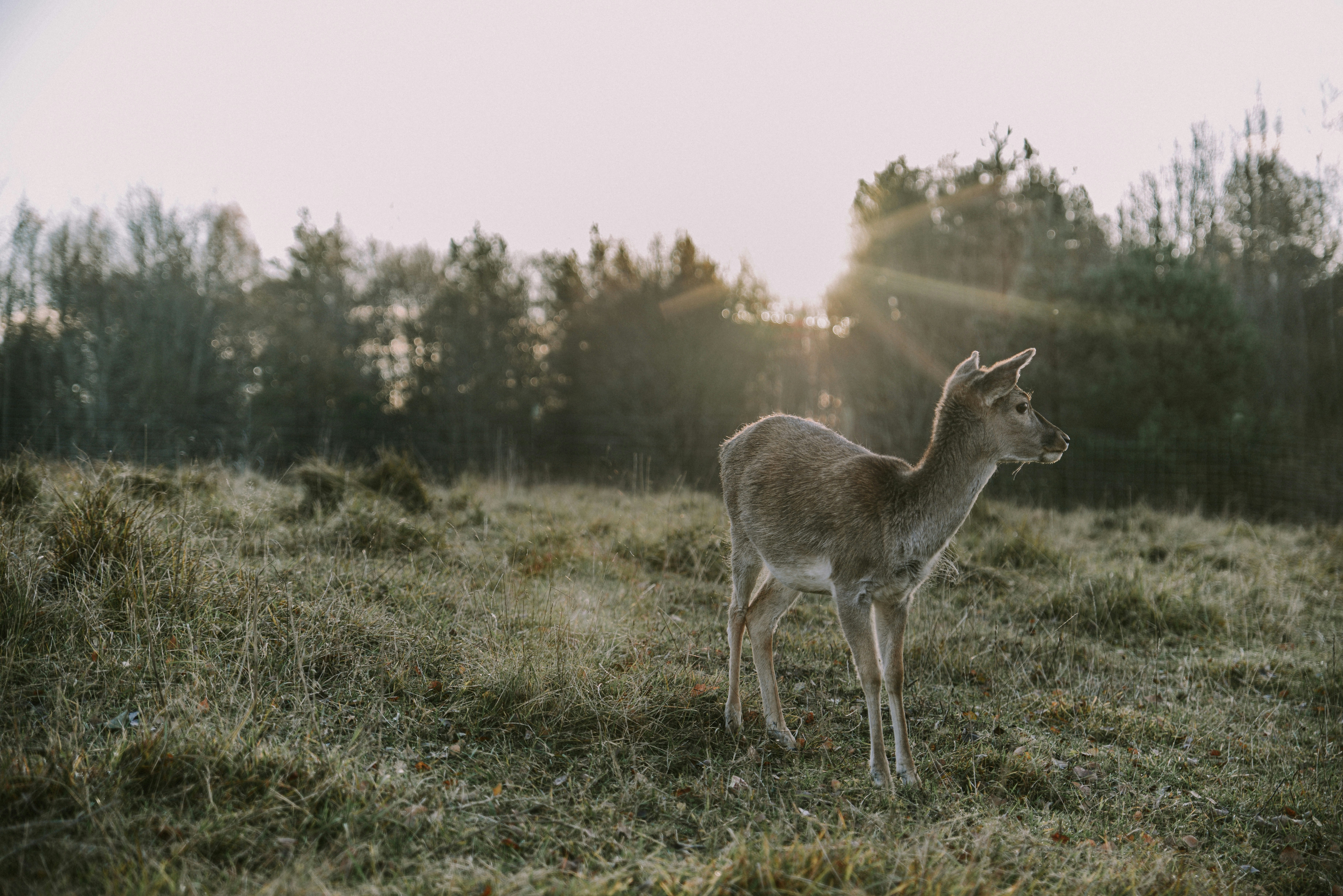 Photo by anitaaustvika