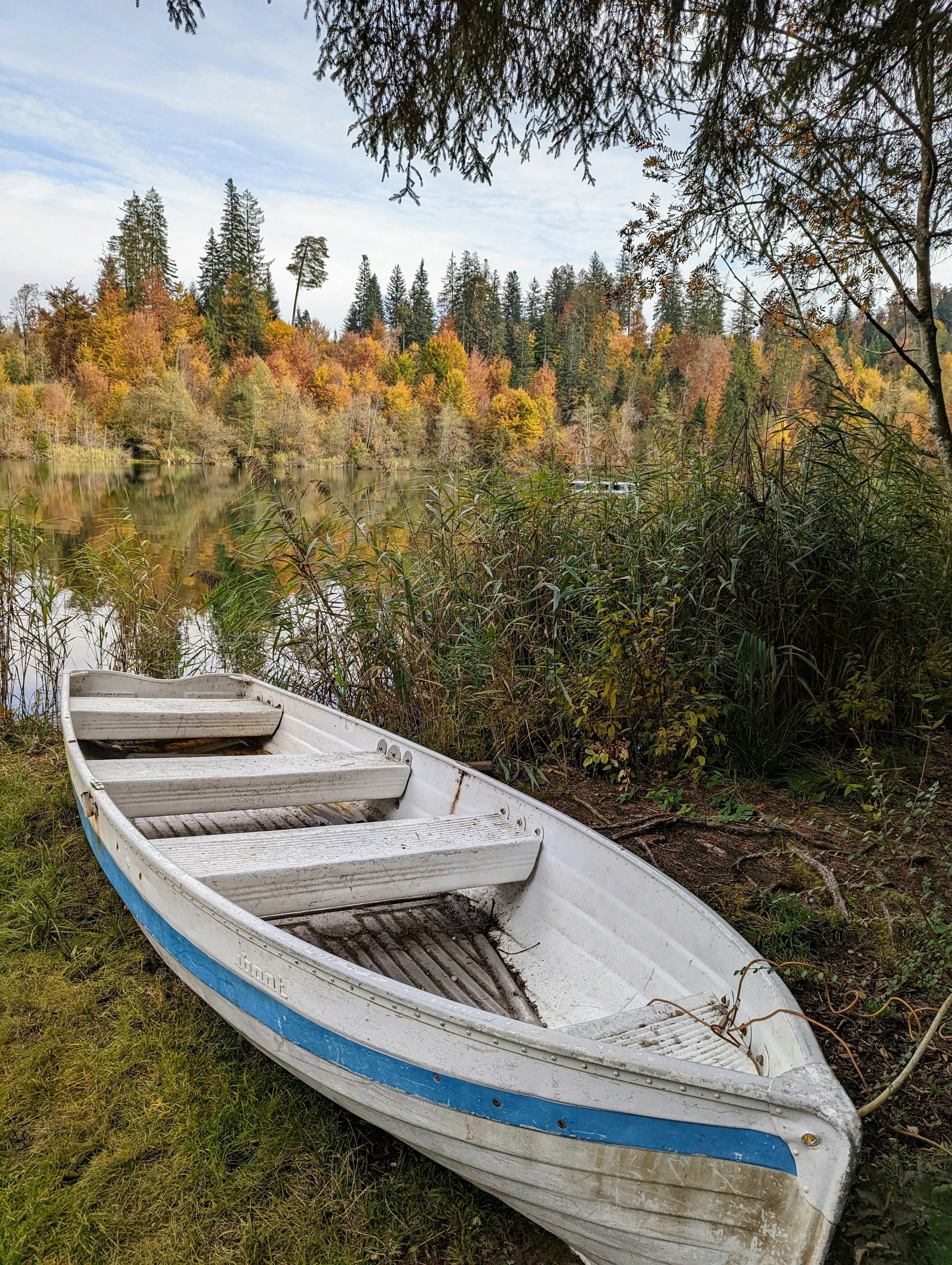 Photo by manuliniger