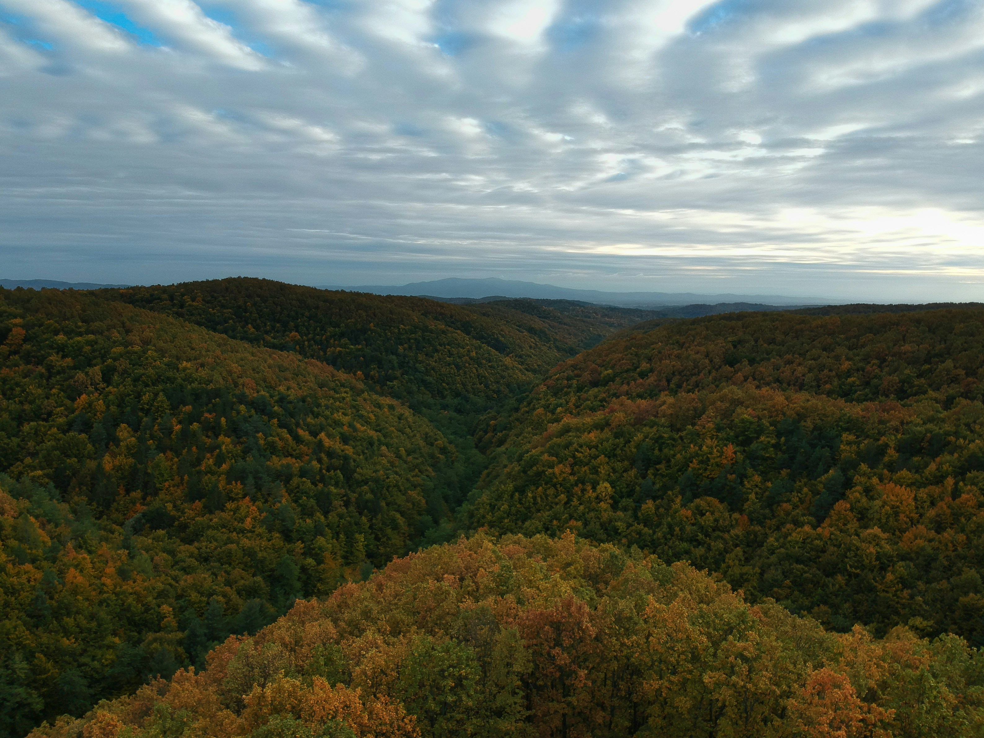 Photo by vjeblackbirdlion