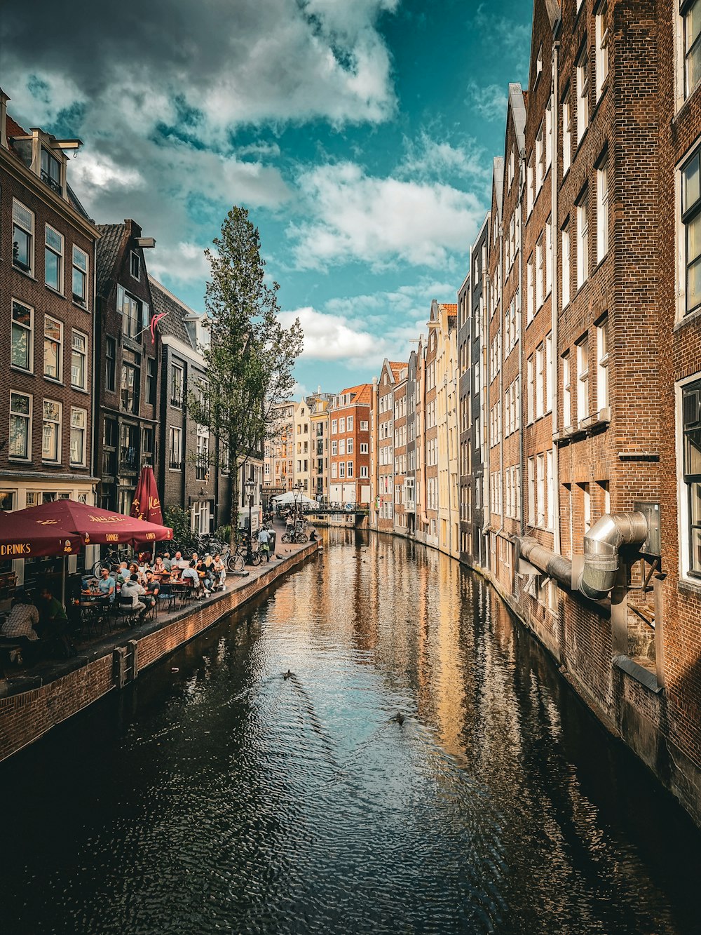 a canal with buildings along it