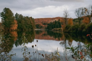 Autumn Reflection