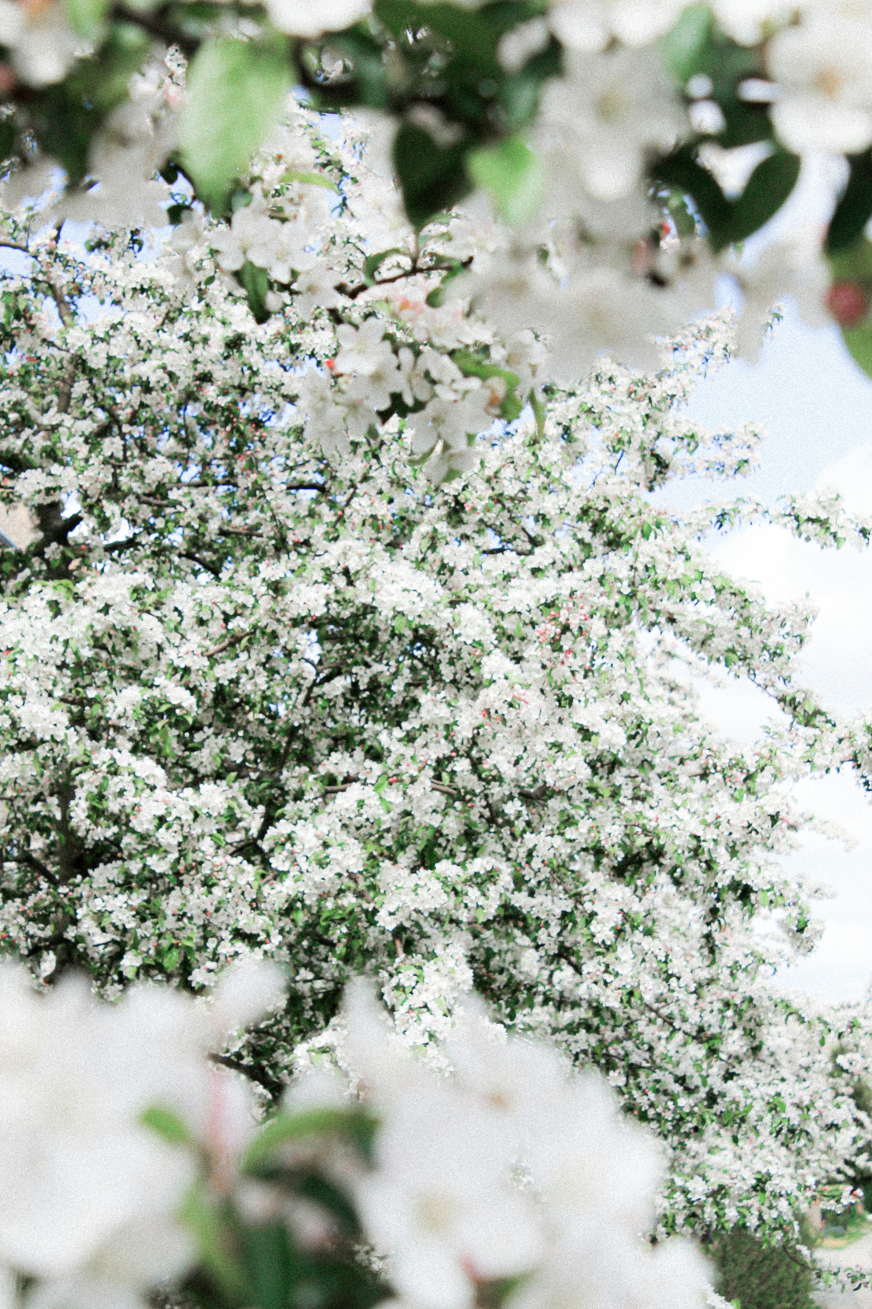 Photo by seasonsdiary