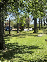 A high-resolution image of volunteers planting trees in a sunny park, symbolizing growth and care.