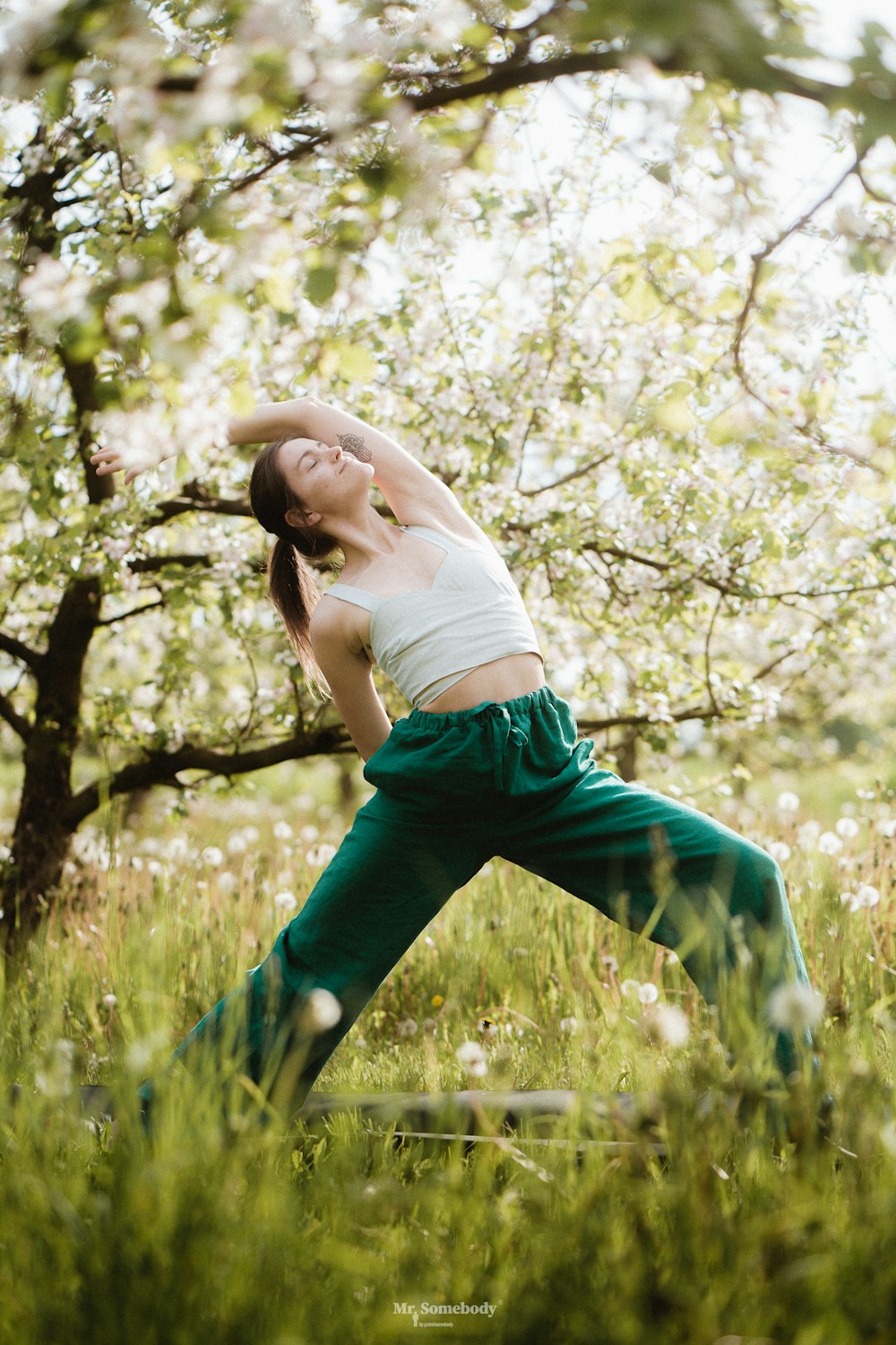 a person lying on grass under a tree