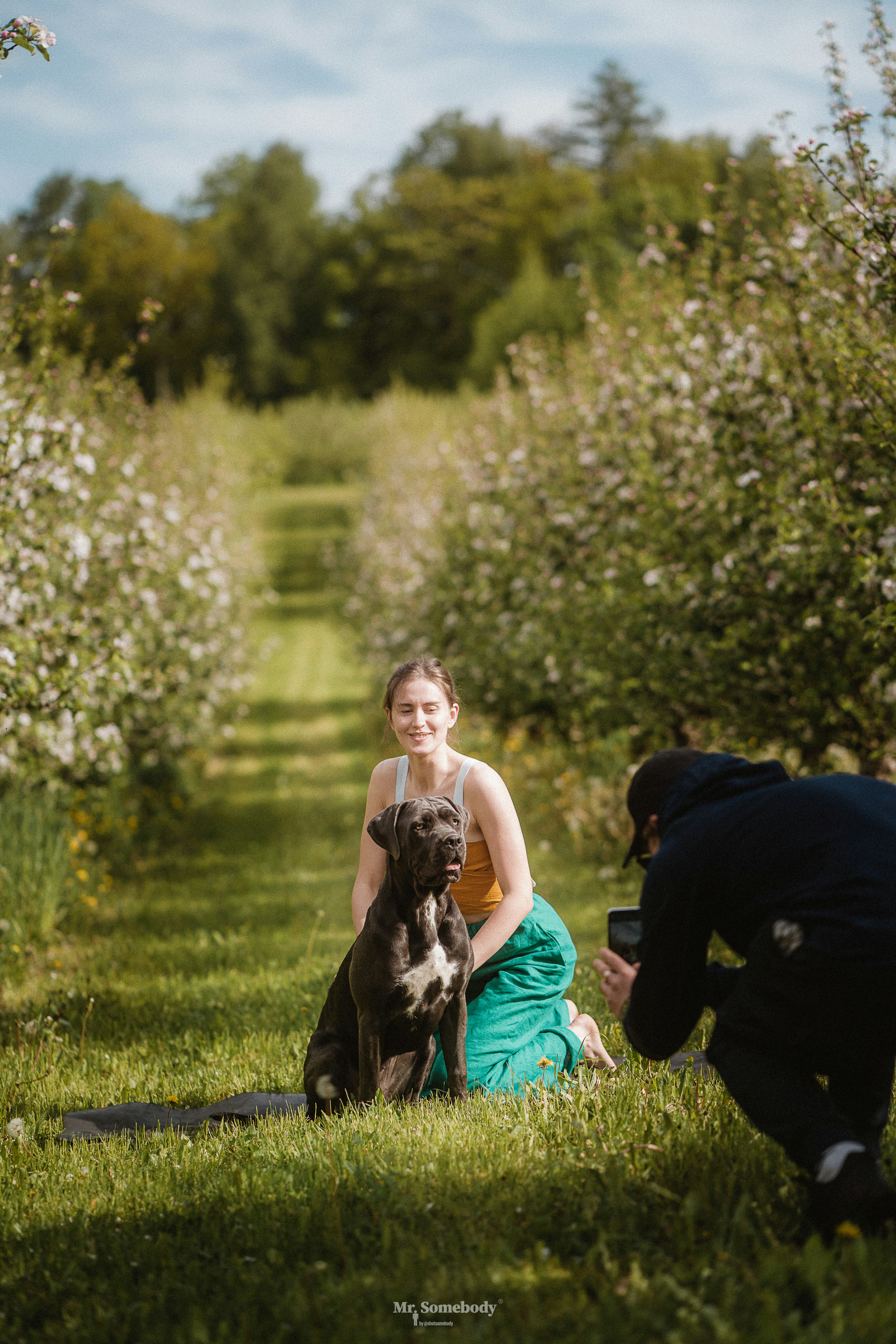 a person and a dog in a field