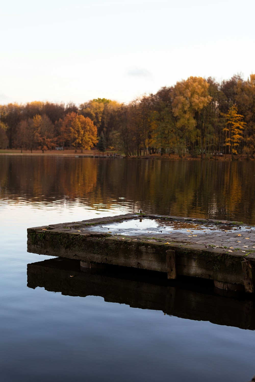 a body of water with trees around it