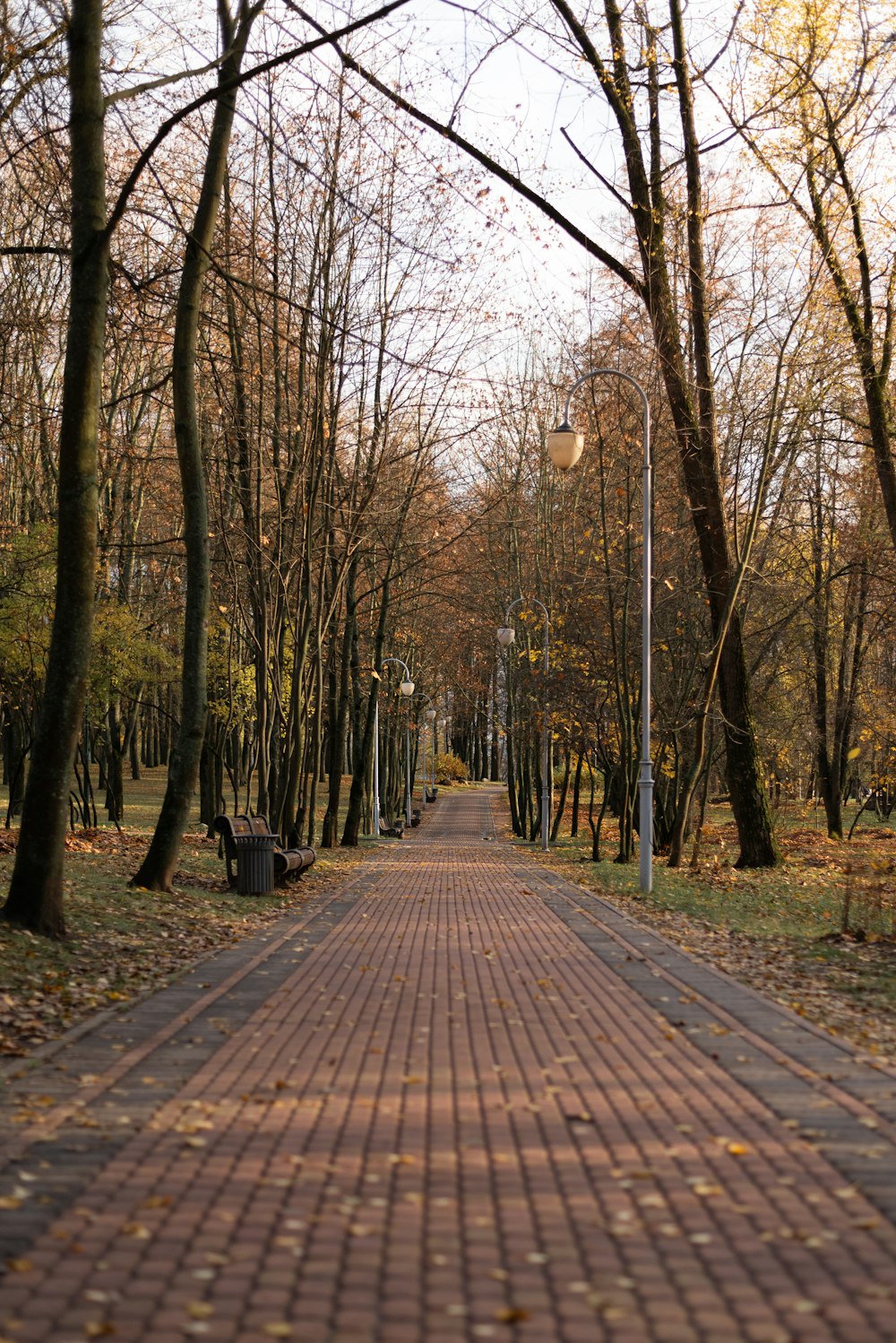 a brick path with trees on either side of it