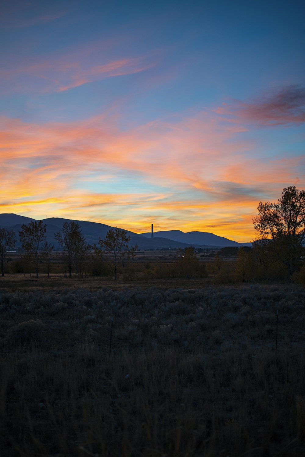 a field with trees and mountains in the background