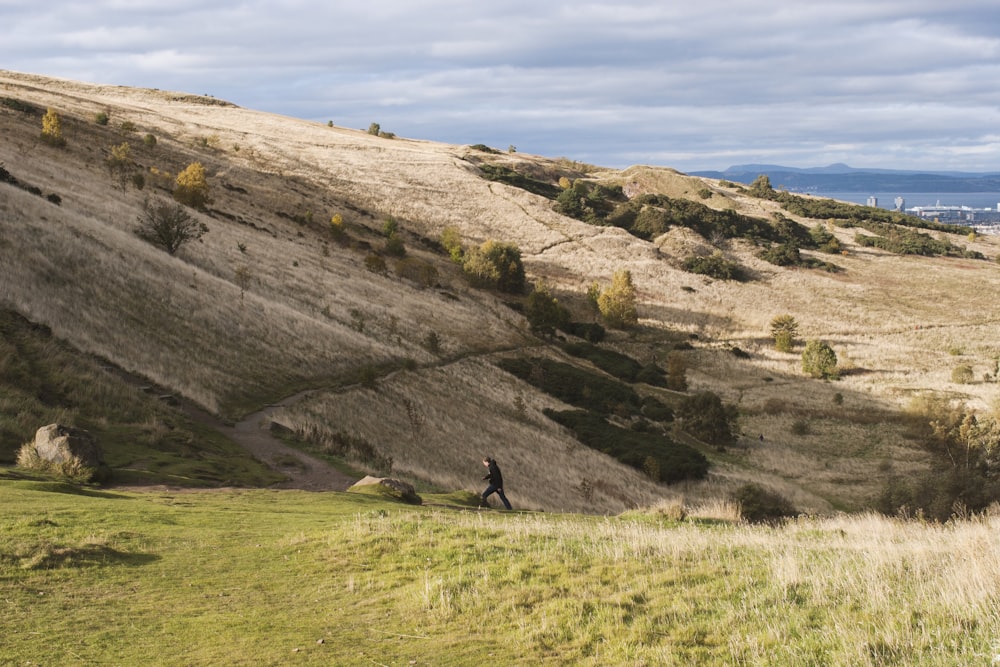 a person walking on a grassy hill