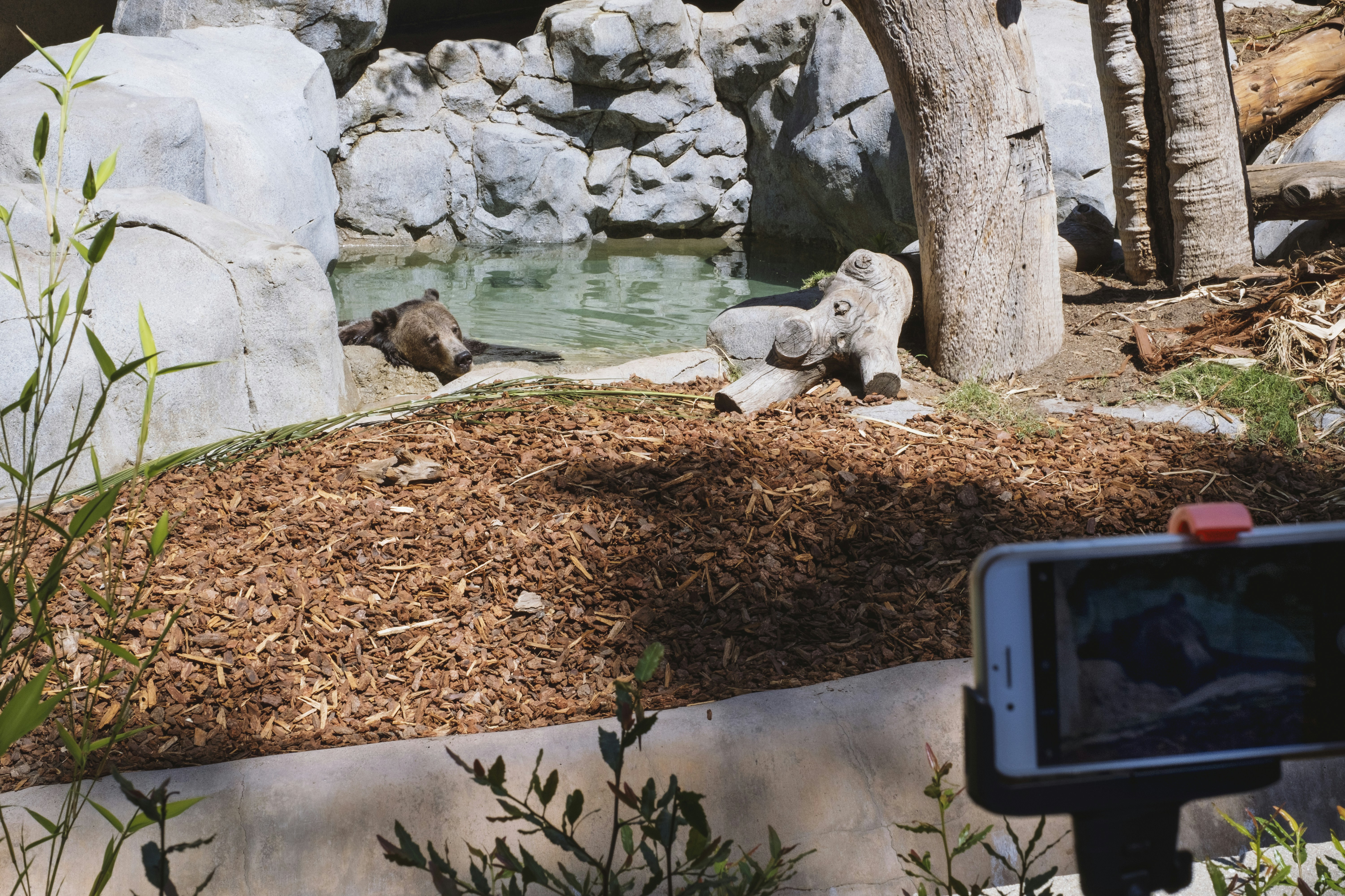 a television on the ground