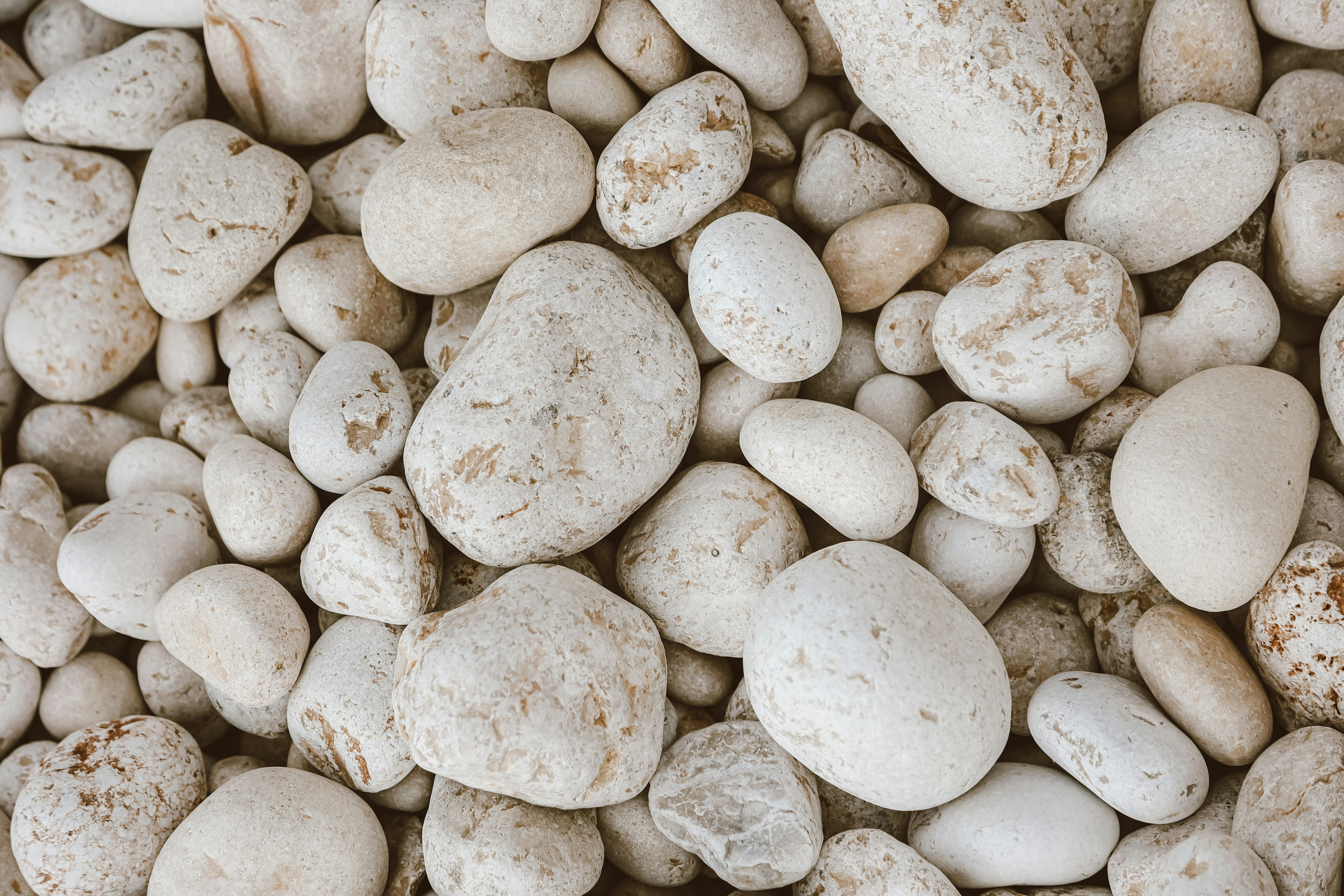 Photo by isadovskaya