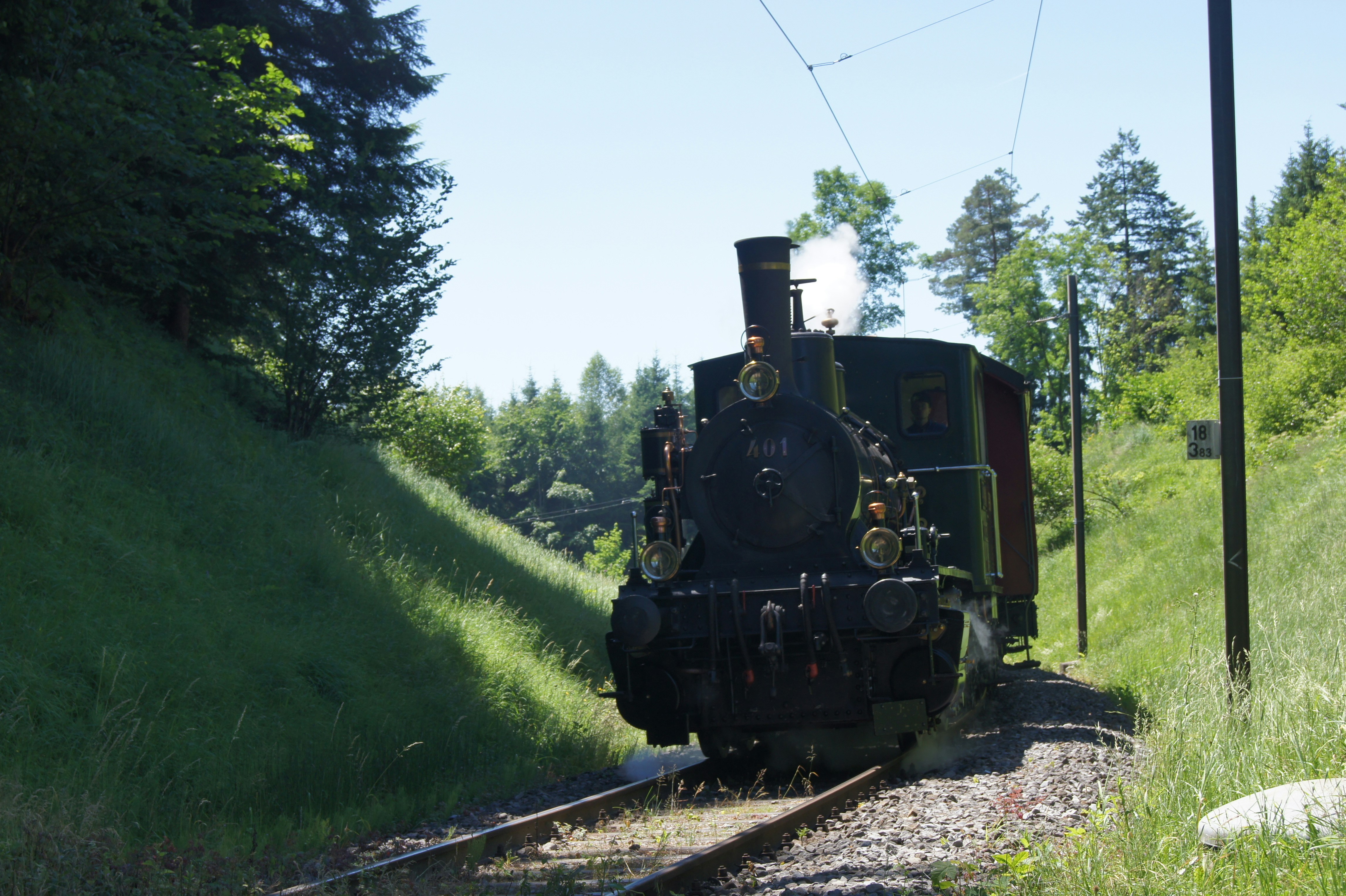 Photo by gruebeart_01