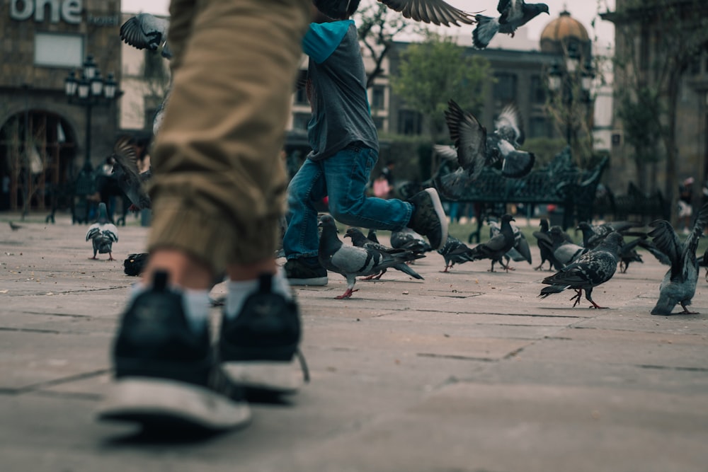 a group of people feeding pigeons