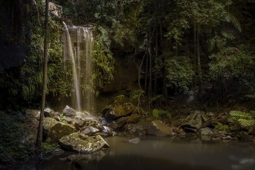 a waterfall in a forest