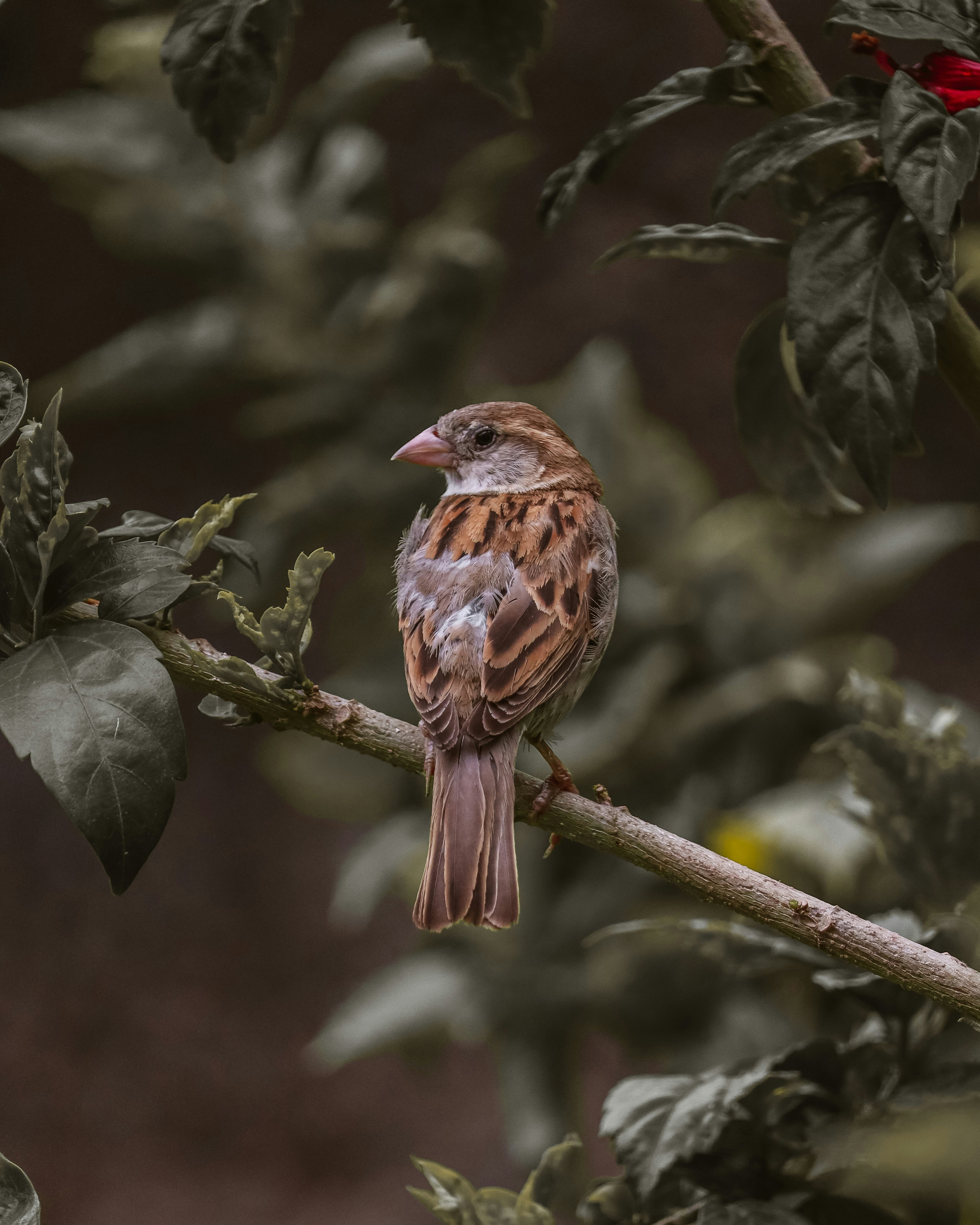 Photo by brajendra_lens_a_lot_