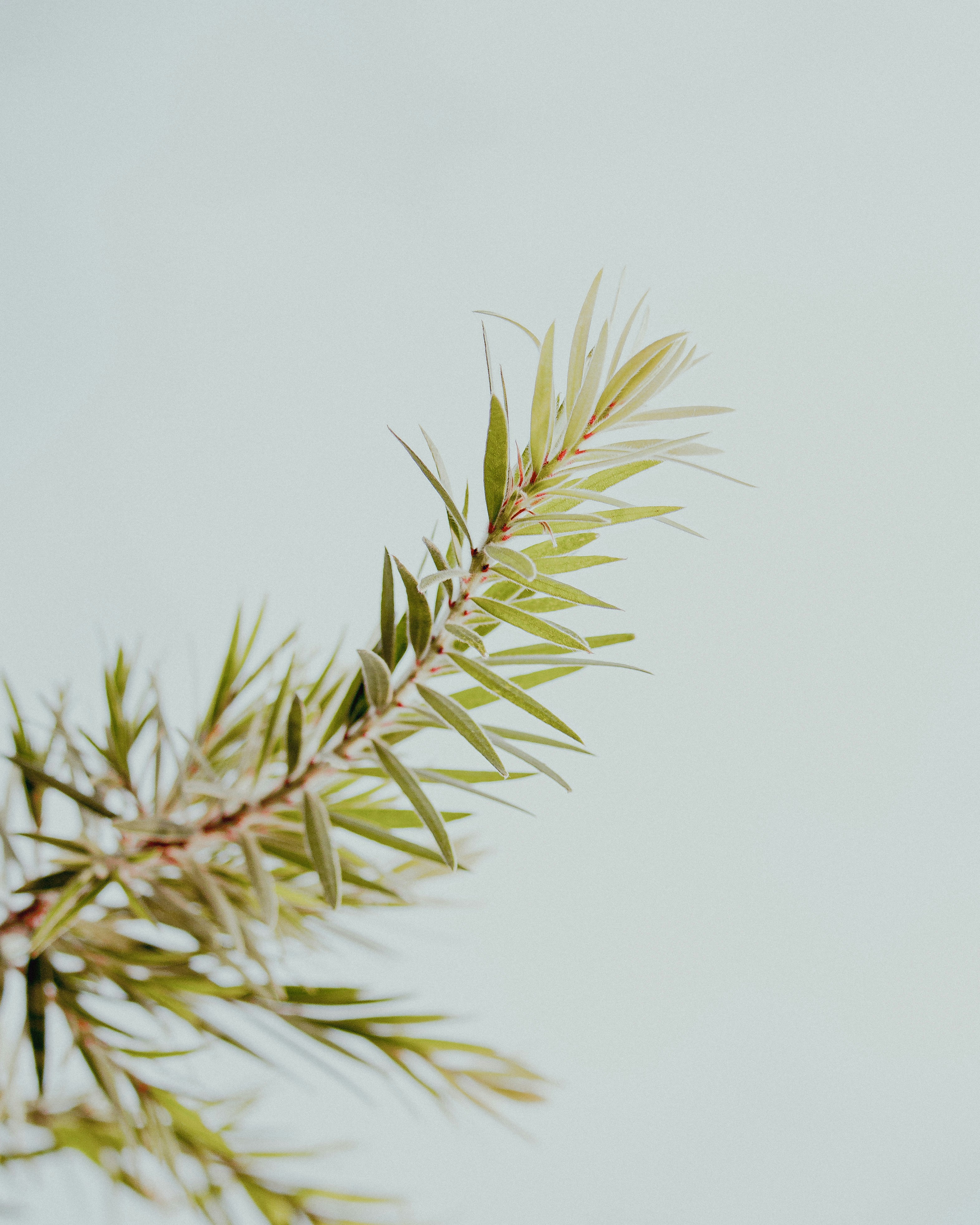 Photo by brajendra_lens_a_lot_