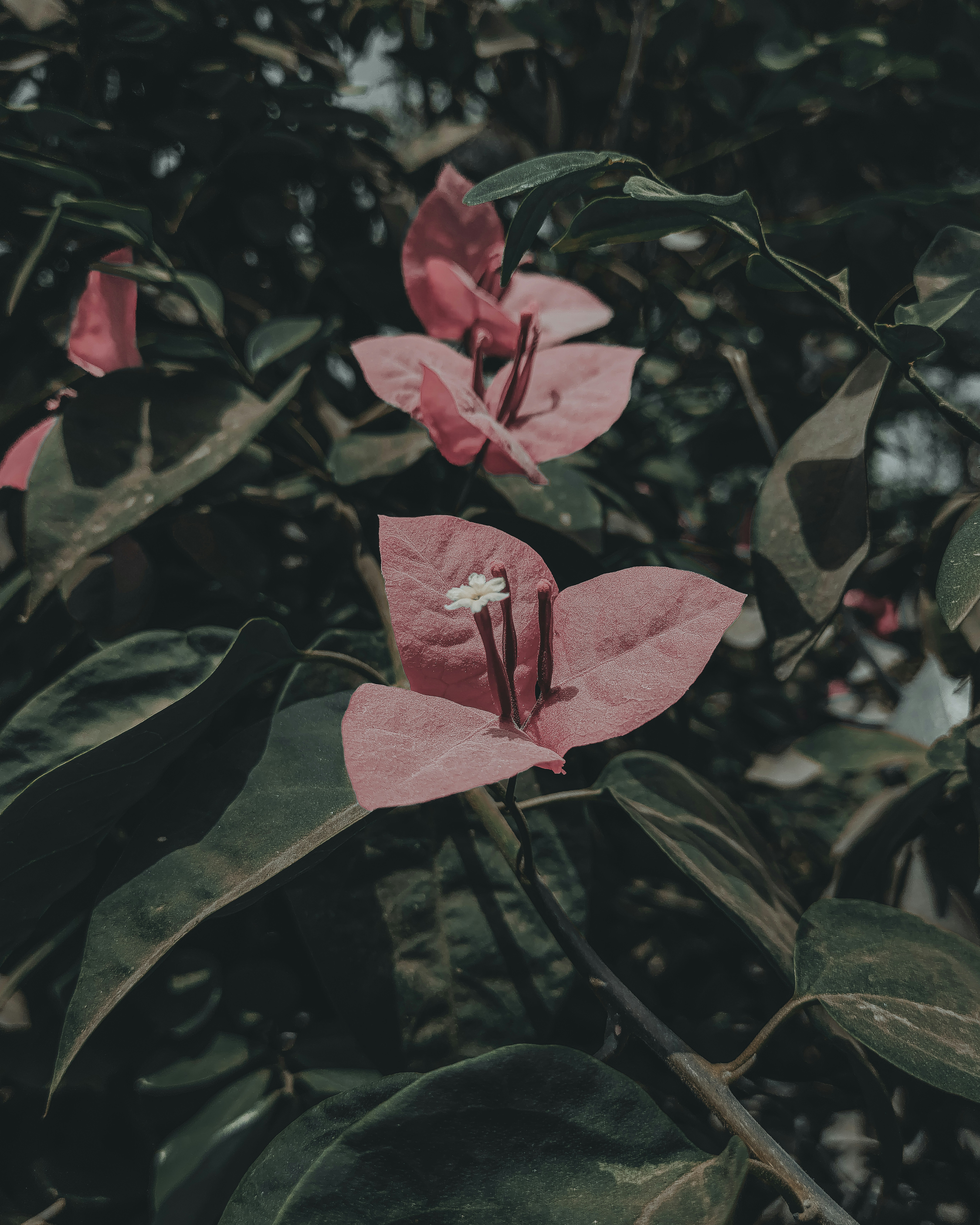 Photo by brajendra_lens_a_lot_