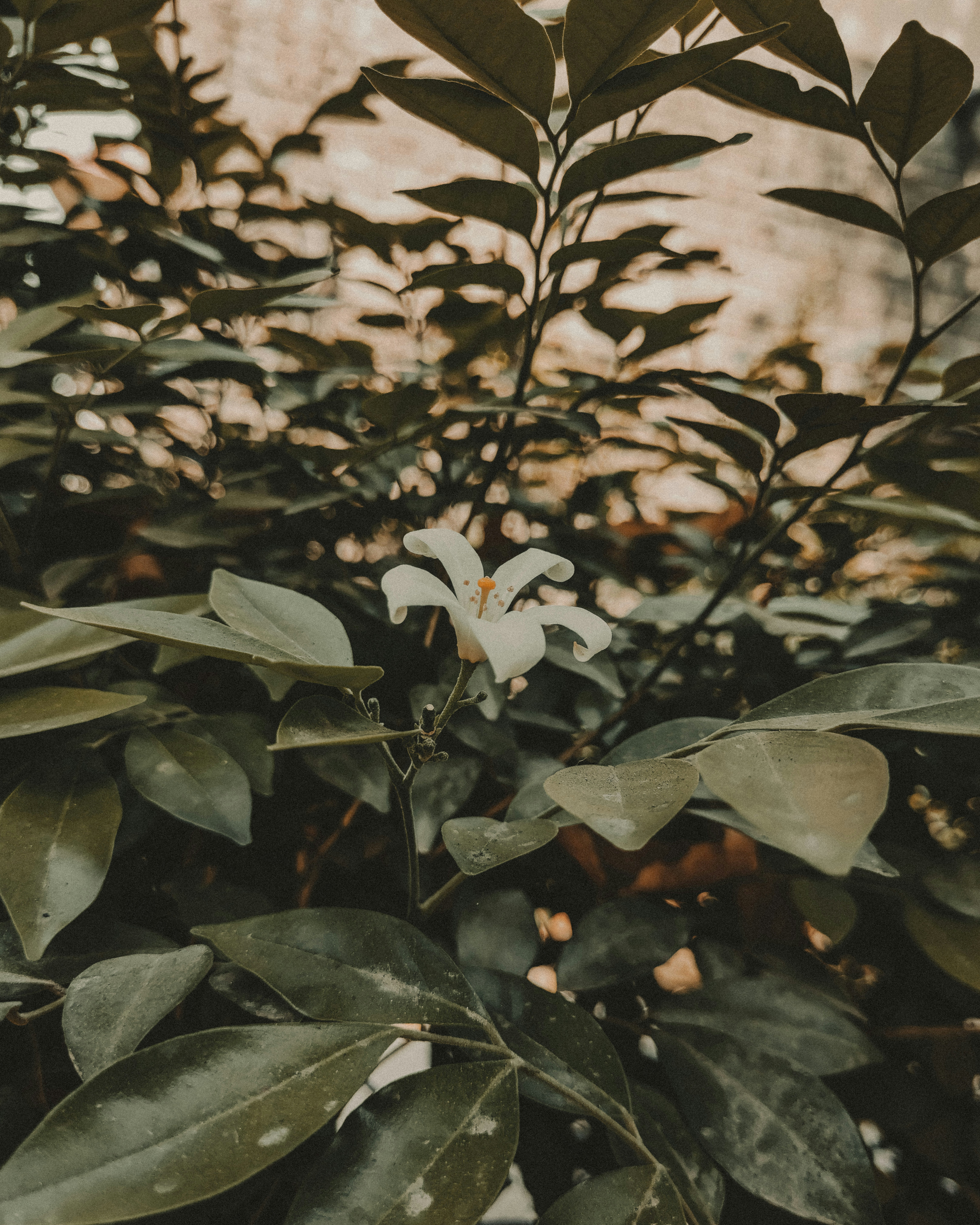 Photo by brajendra_lens_a_lot_