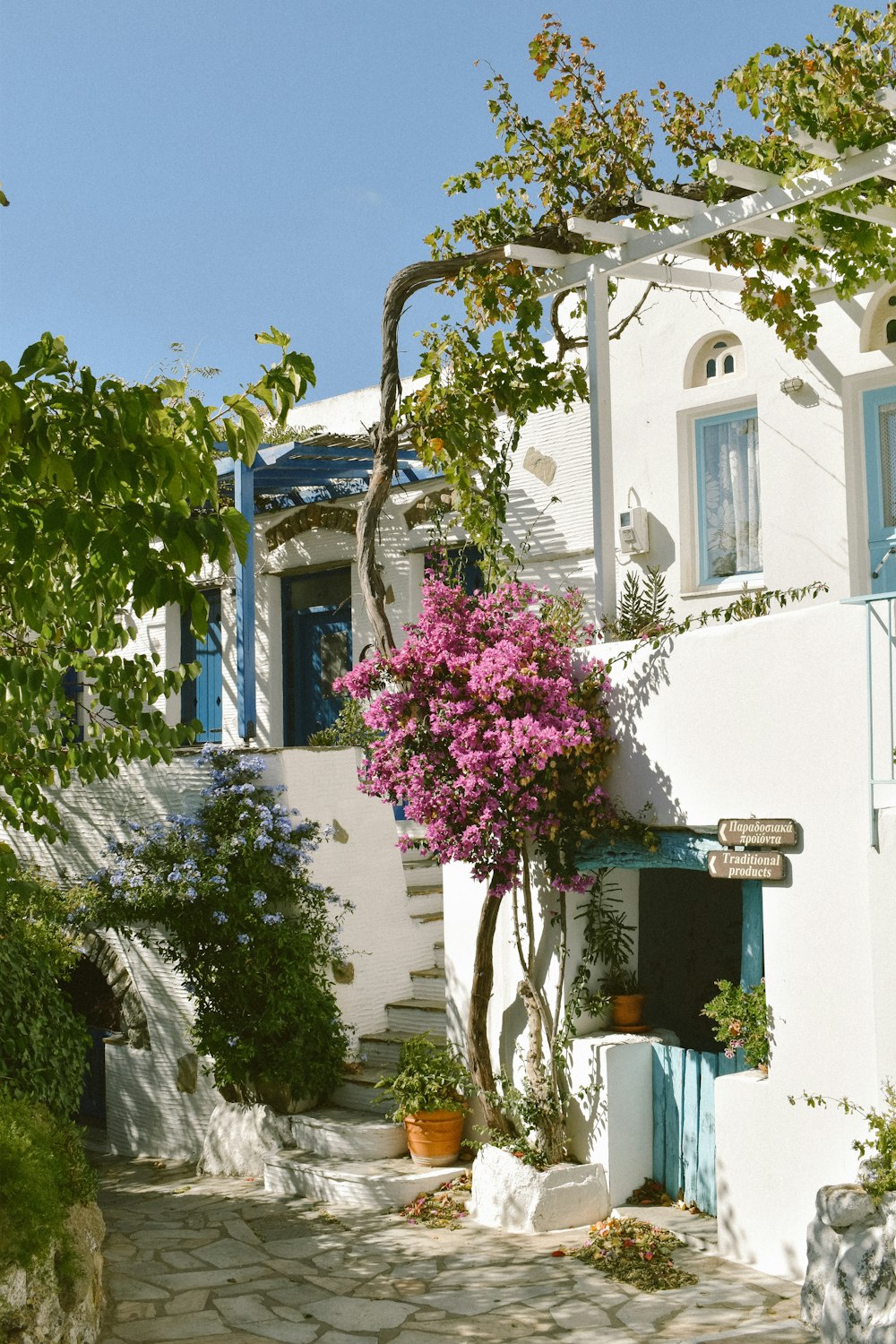 a white building with a tree in front of it