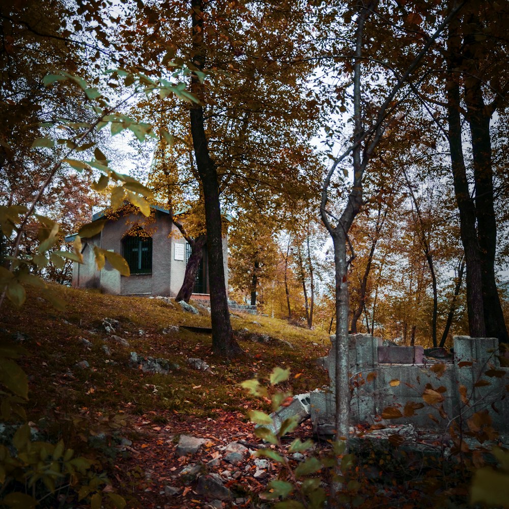 a house surrounded by trees