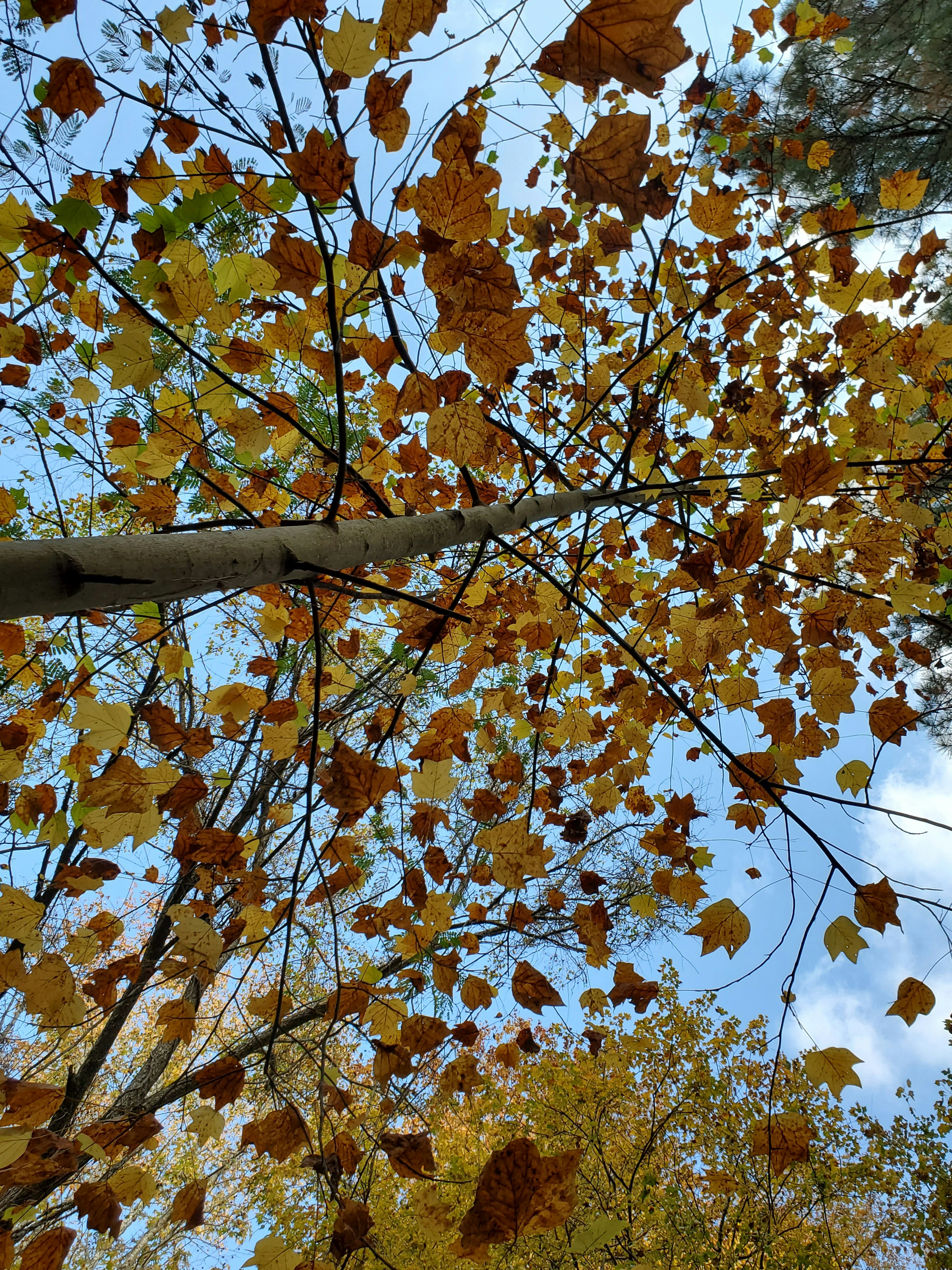 Photo by karolinabobek