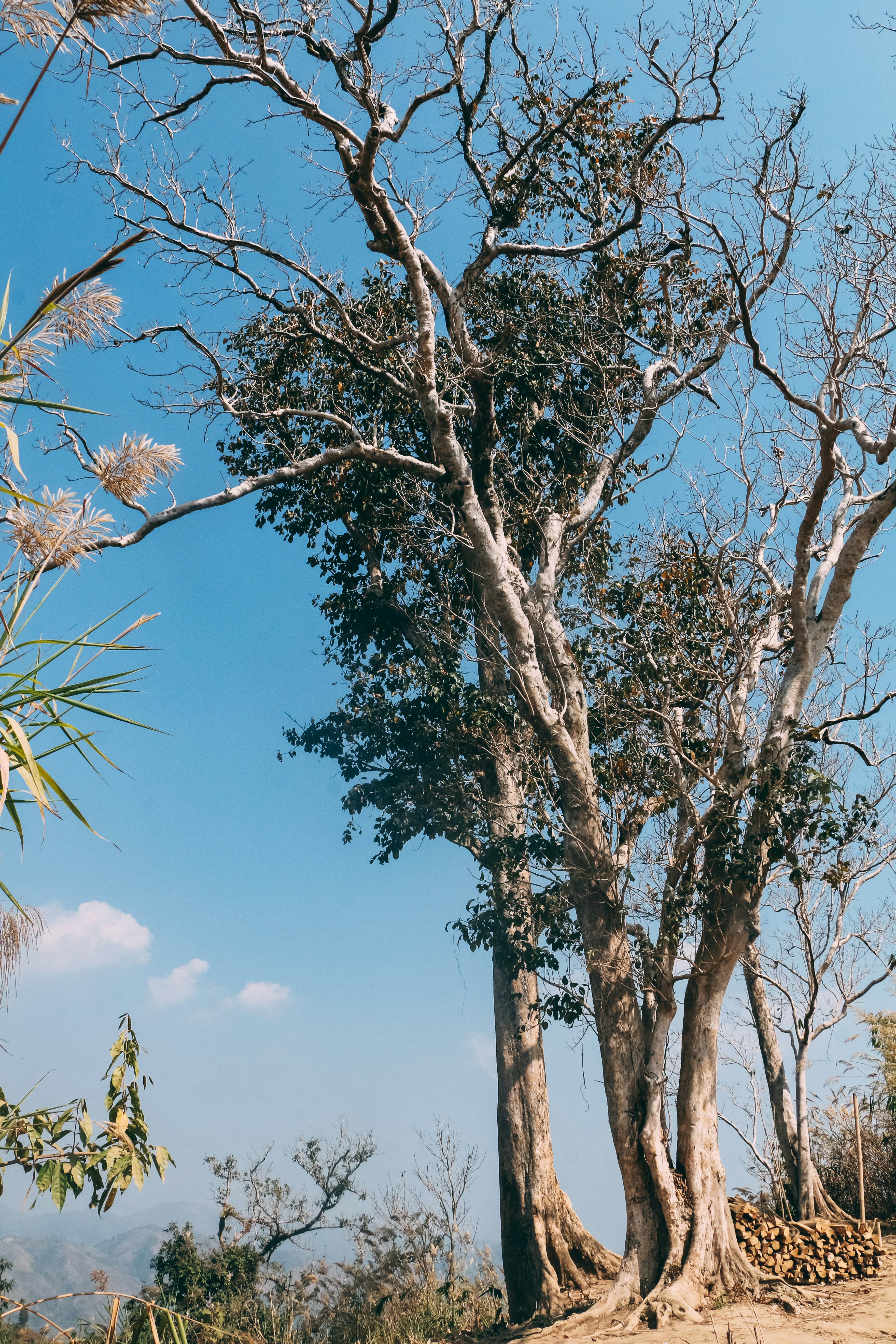 Photo by neha1301039