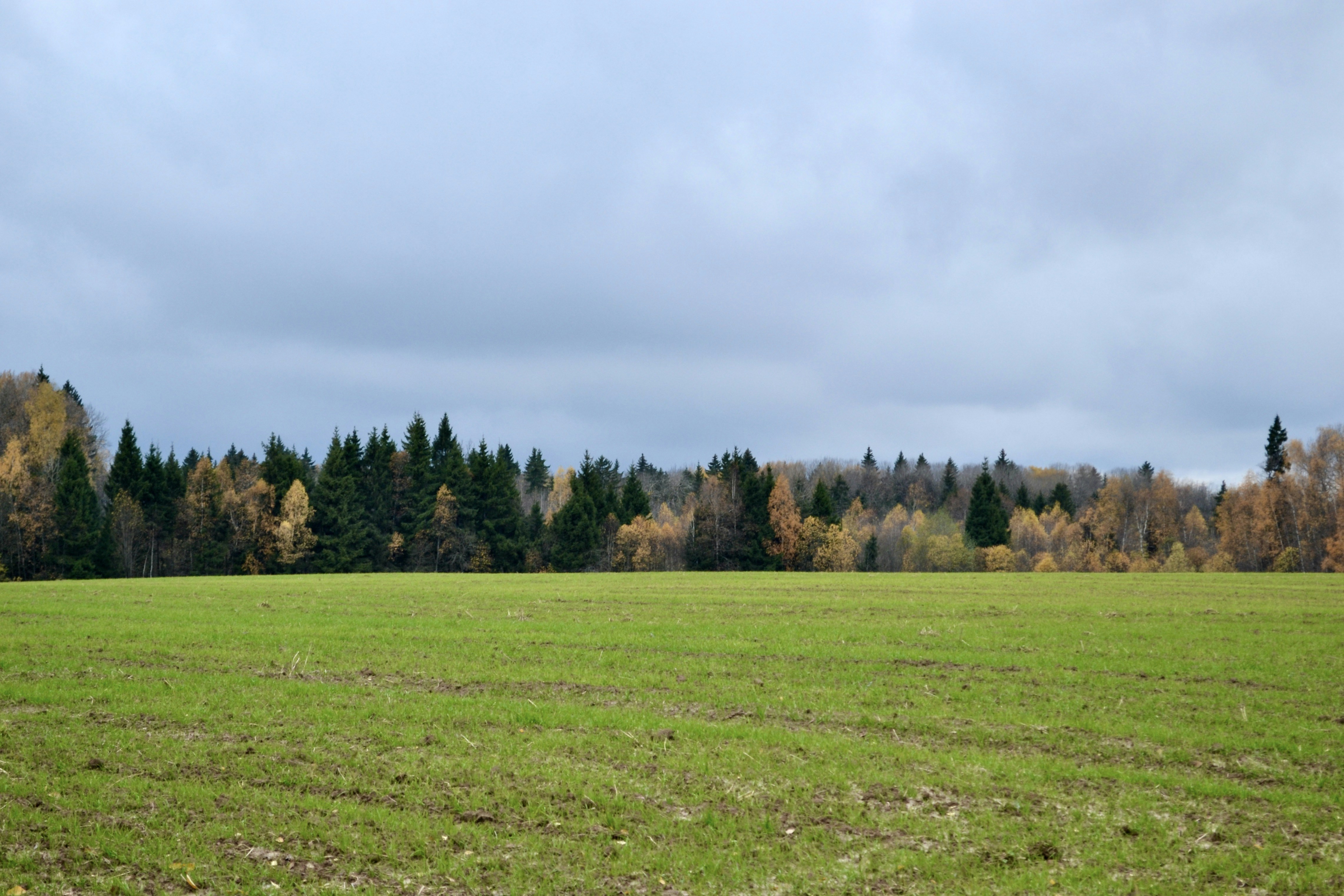 Photo by evgenslavin