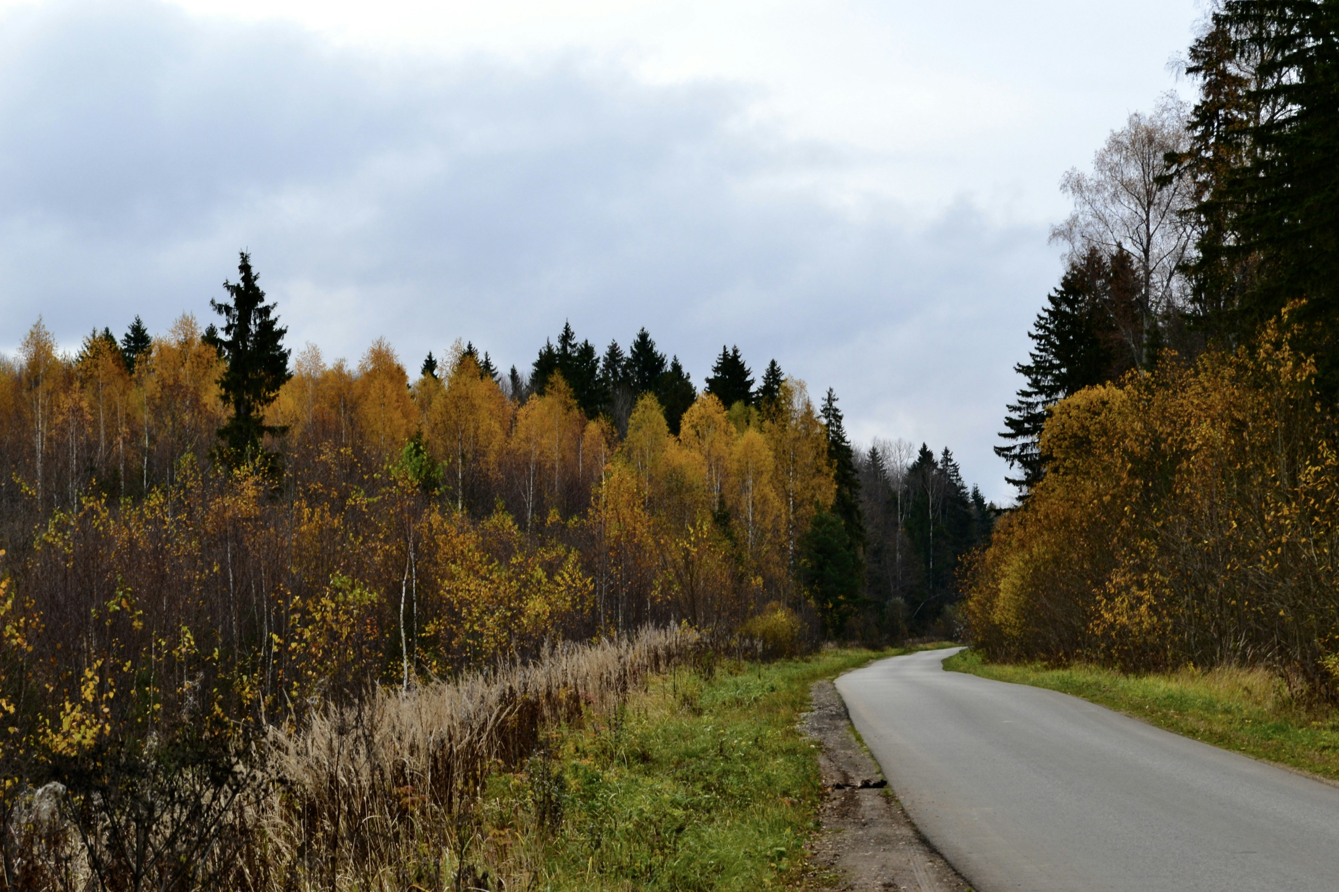 Photo by evgenslavin