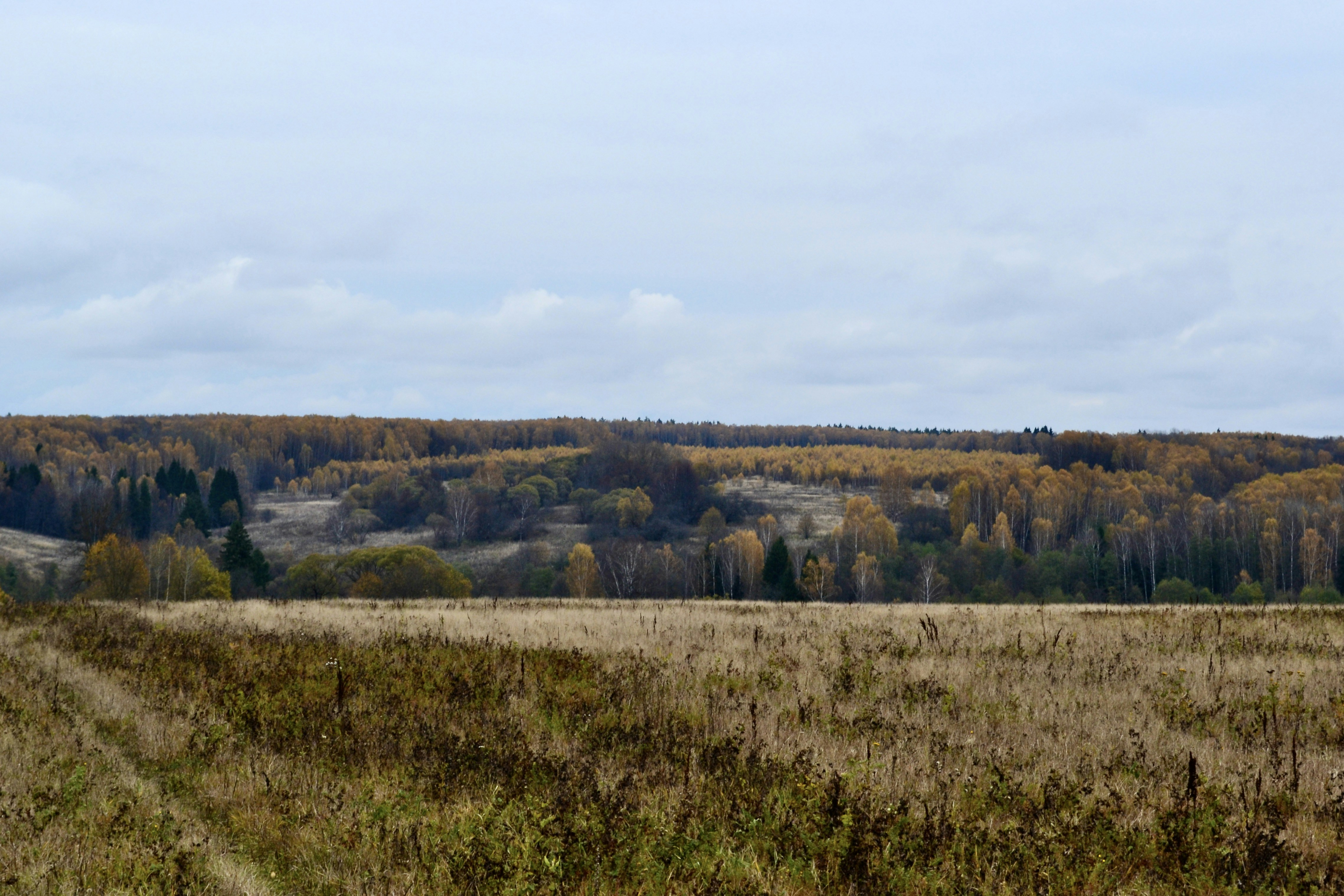 Photo by evgenslavin