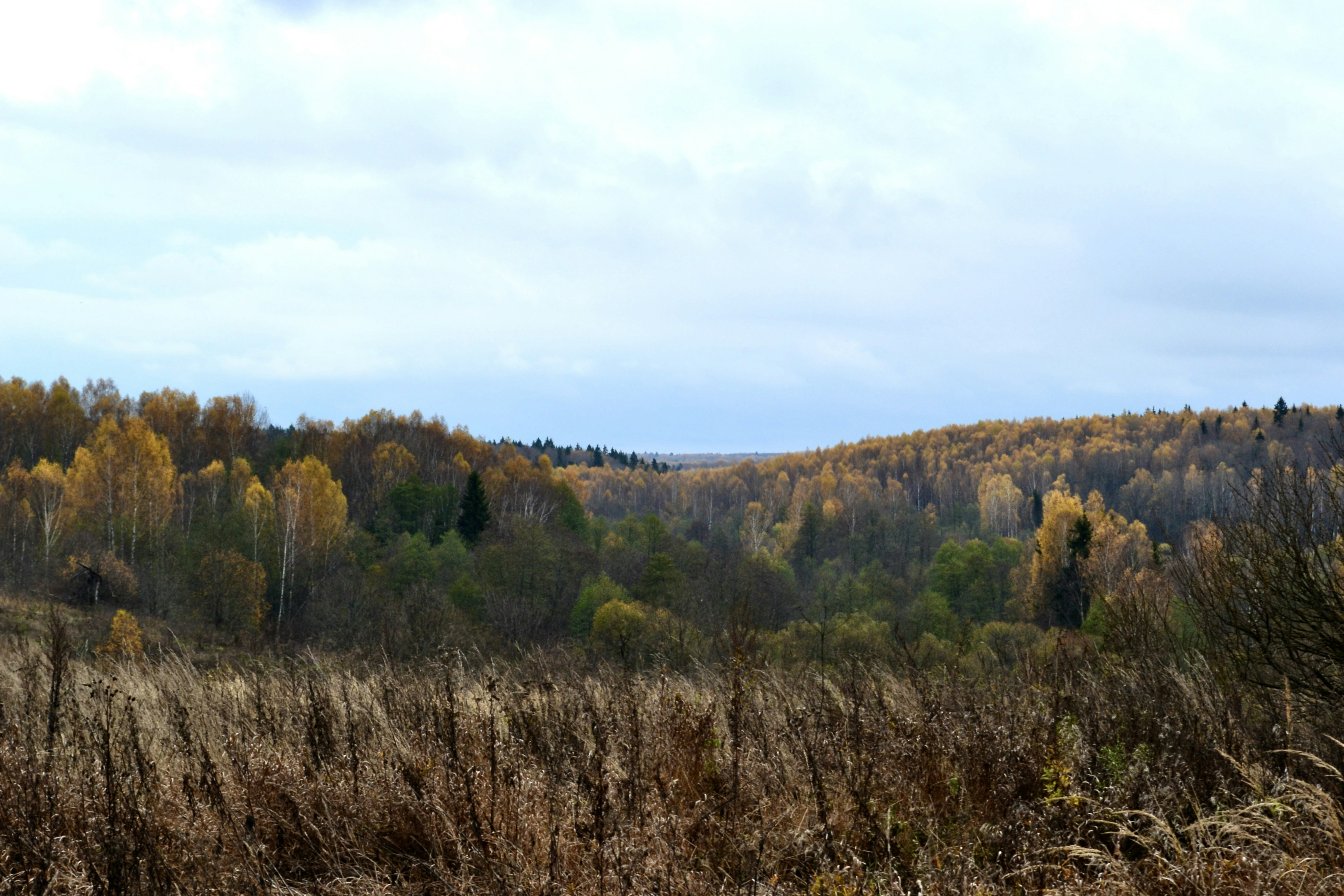 Photo by evgenslavin