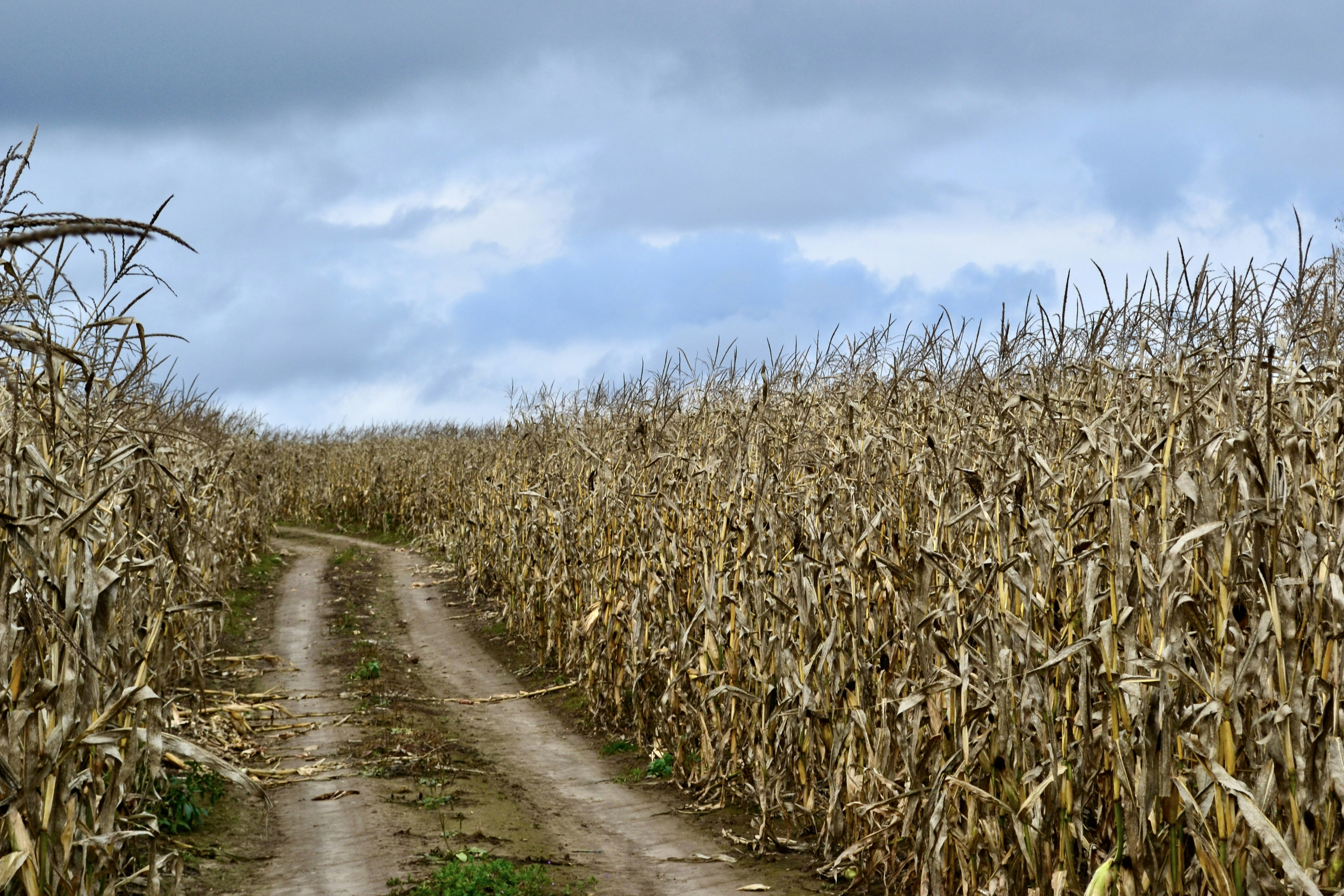 Photo by evgenslavin