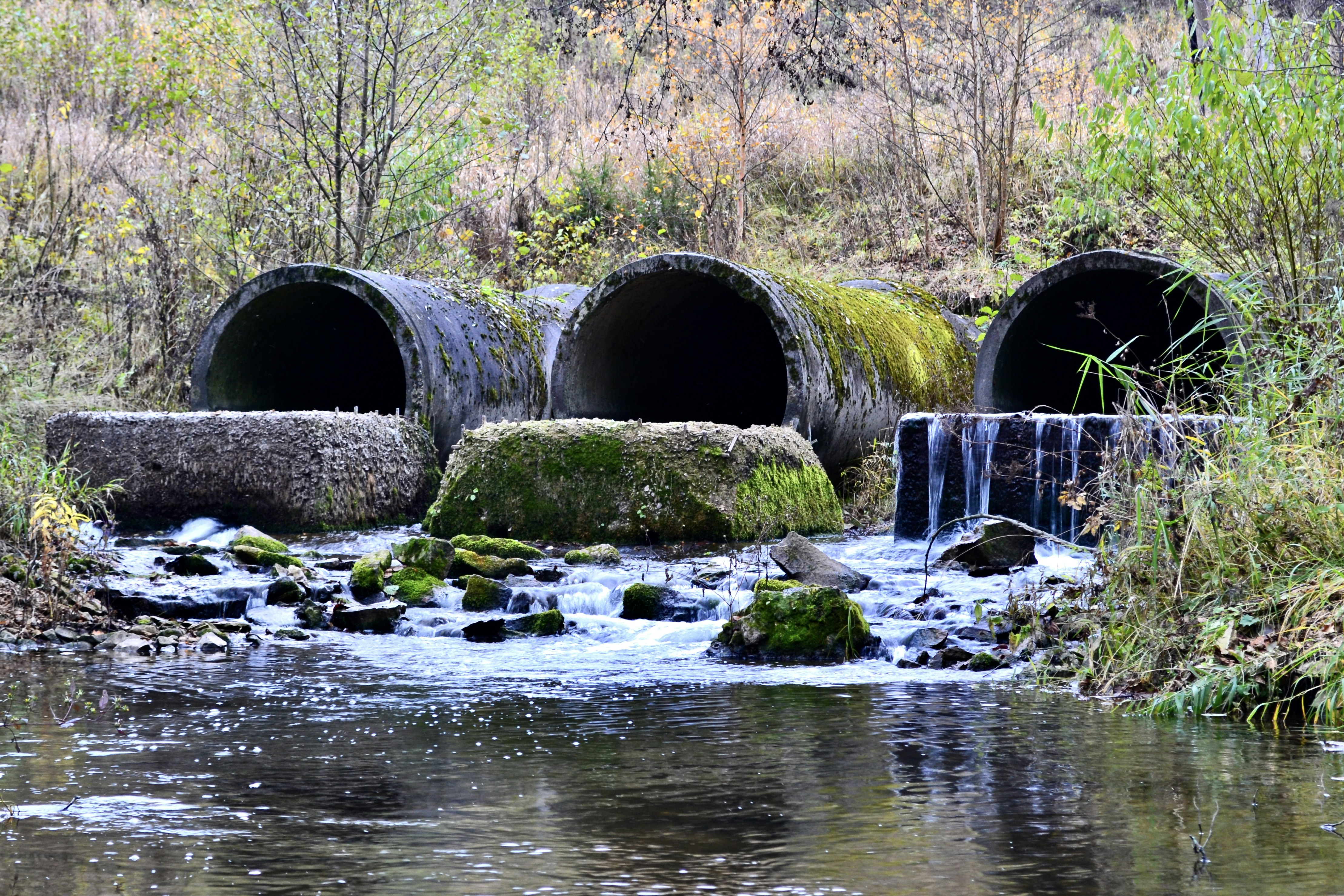 Photo by evgenslavin