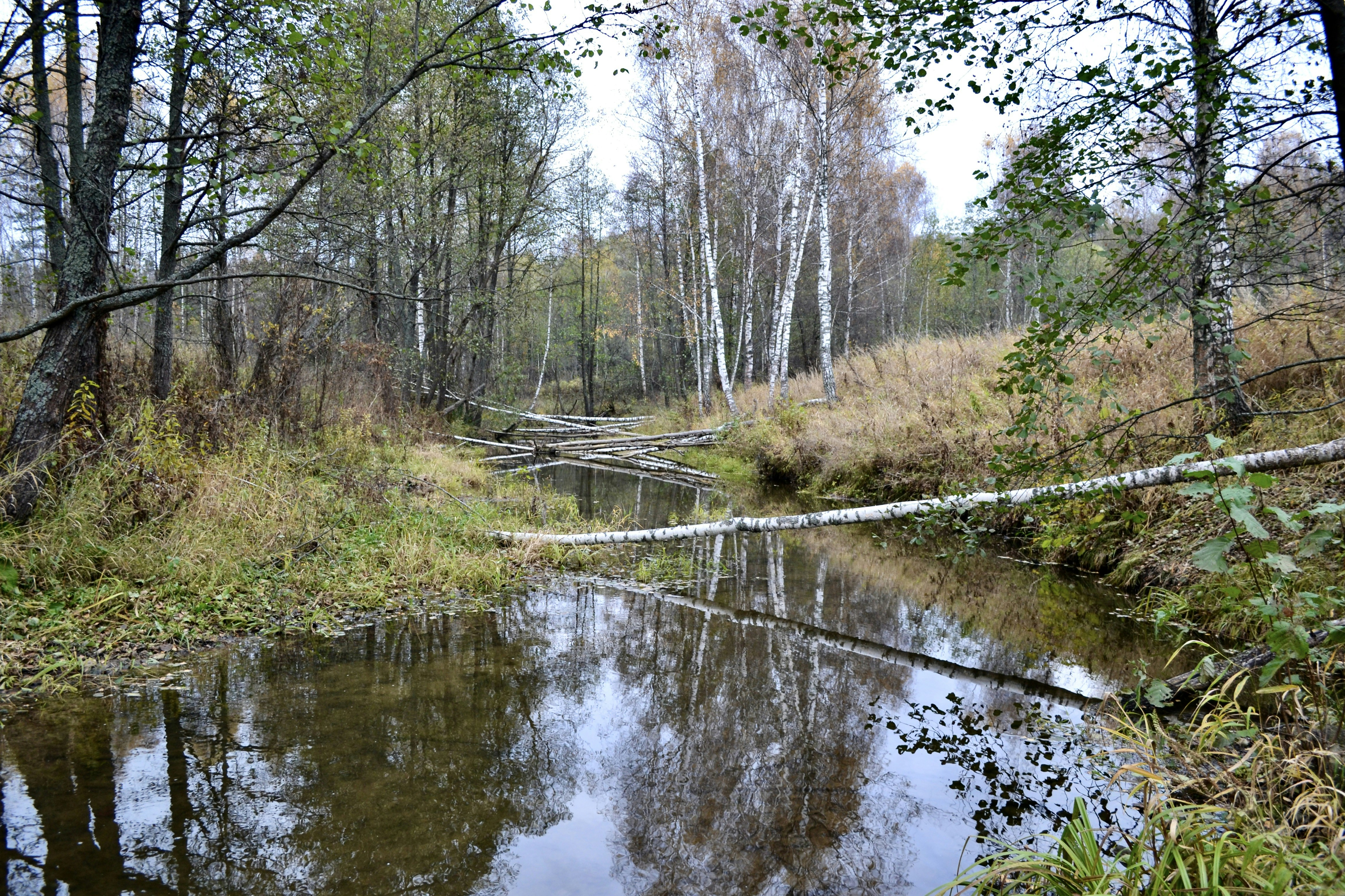 Photo by evgenslavin