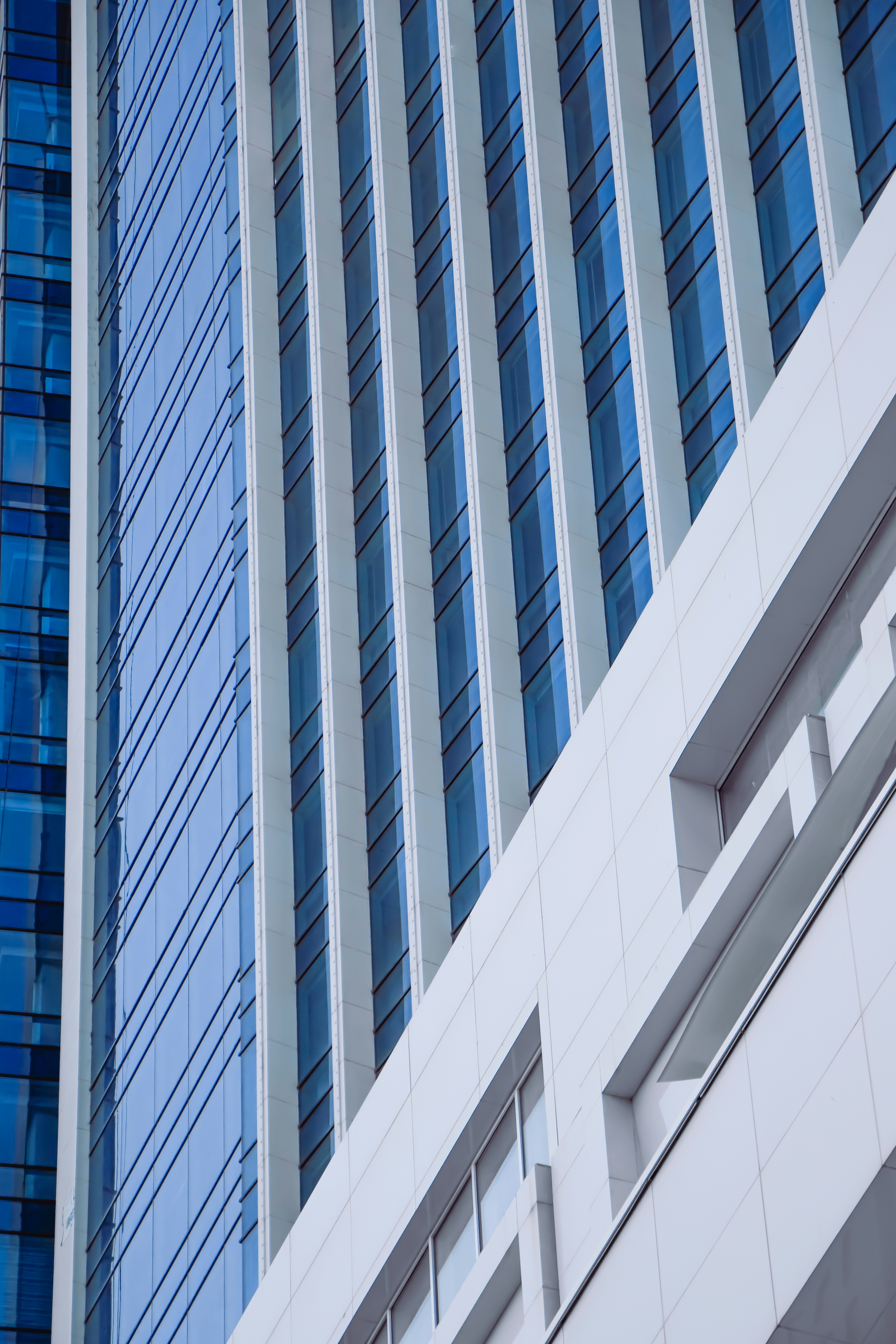 Photo by mahdibafande