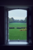 Peaceful view from the center's windows overlooking open green fields