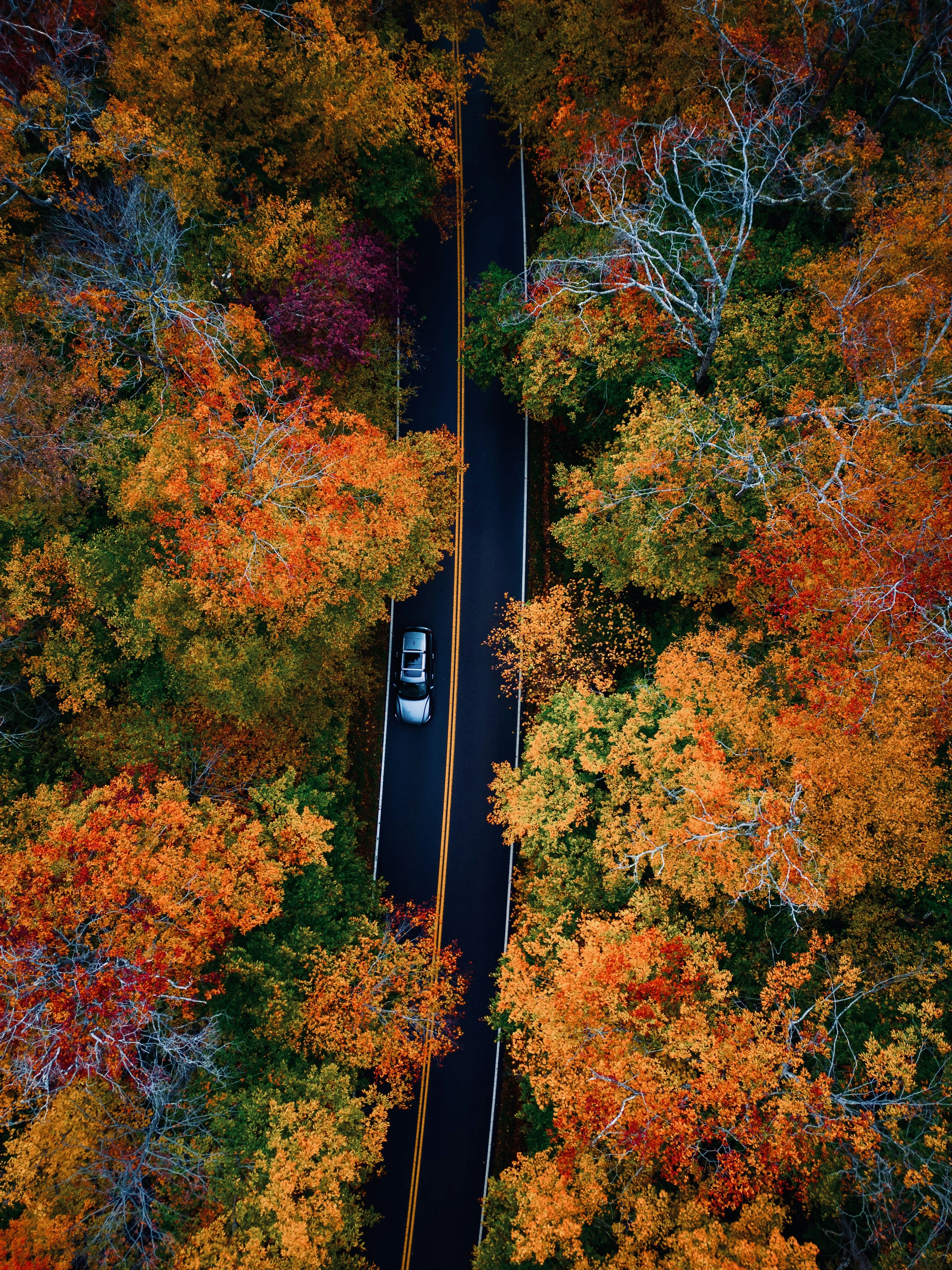 Photo by santhosh_singireddy