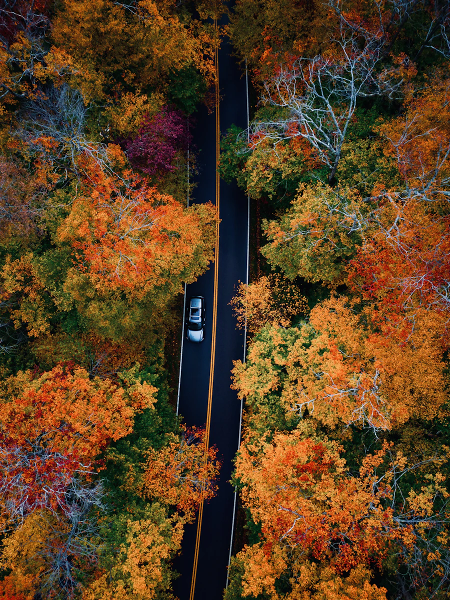 Route bordée d'arbres aux couleurs d'automne, Vermont
