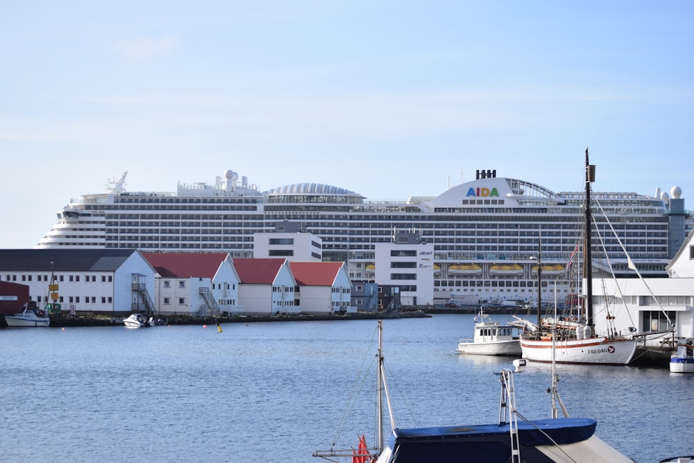 a large cruise ship docked