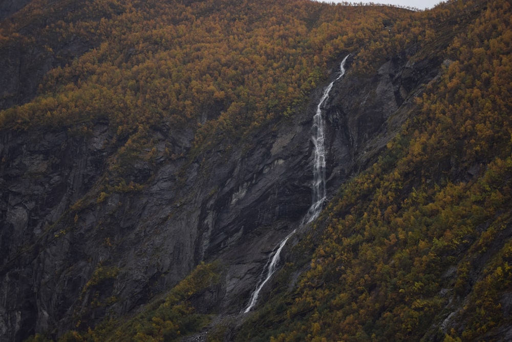 a waterfall in a forest